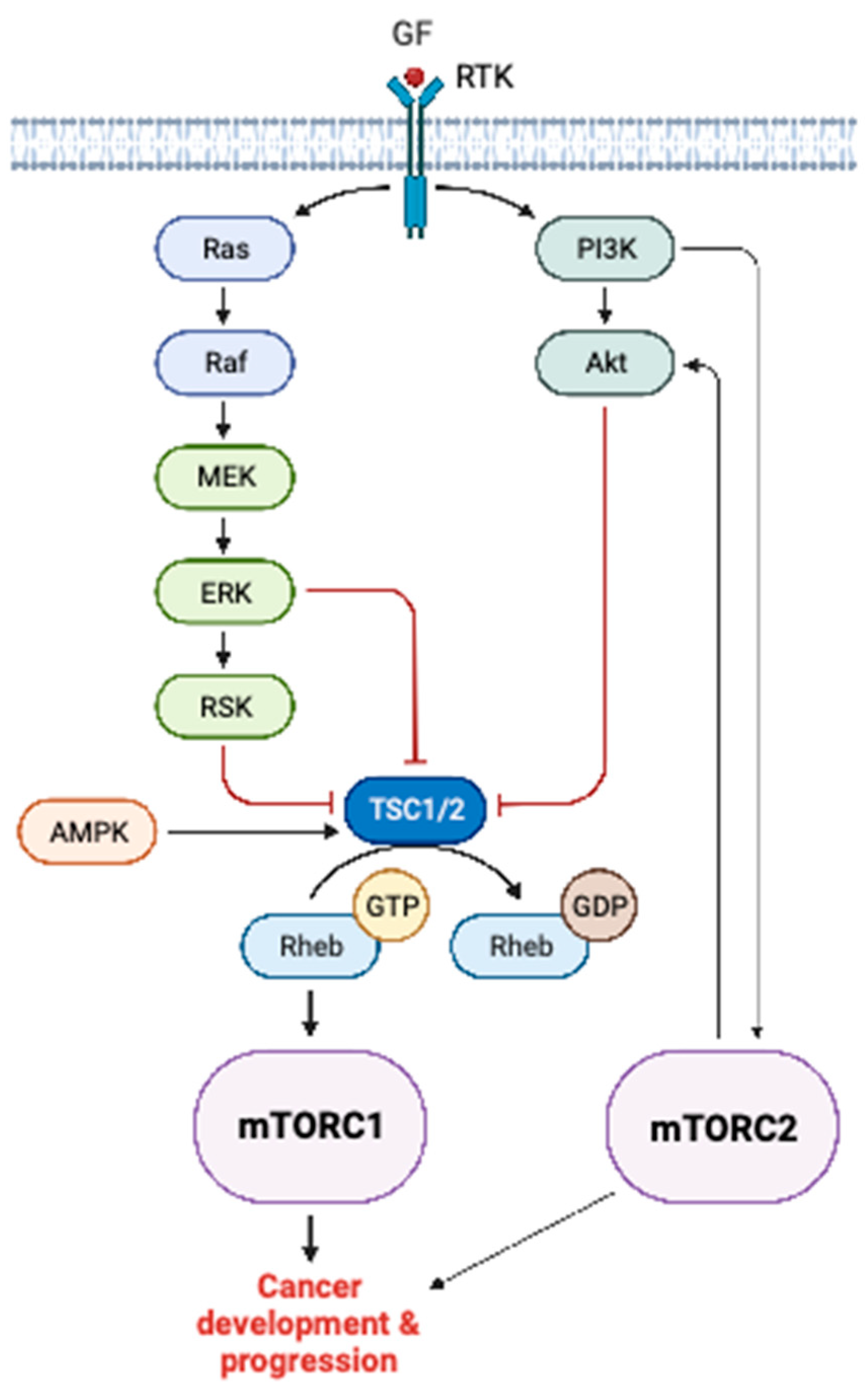 Cells 12 02014 g002 Cells 12 02014 g002