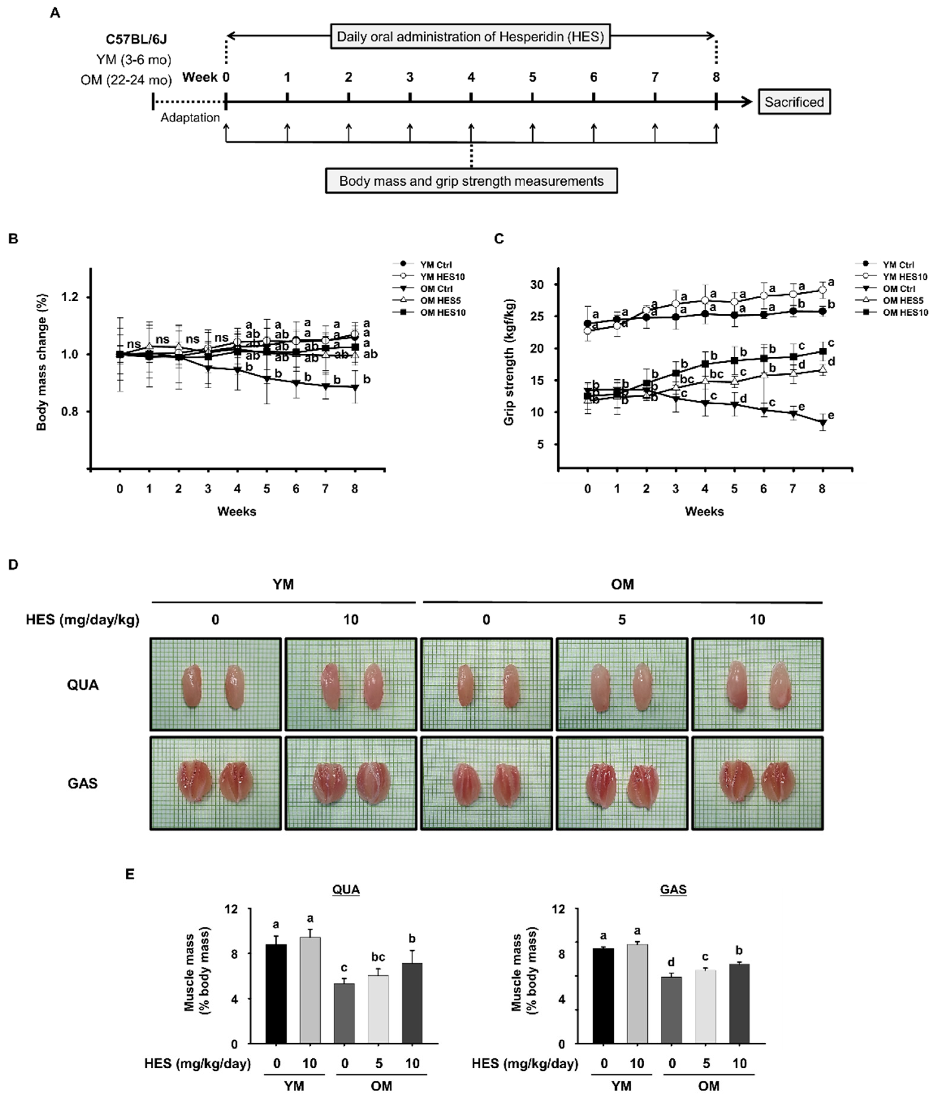 Cells 12 02015 g001 Cells 12 02015 g001