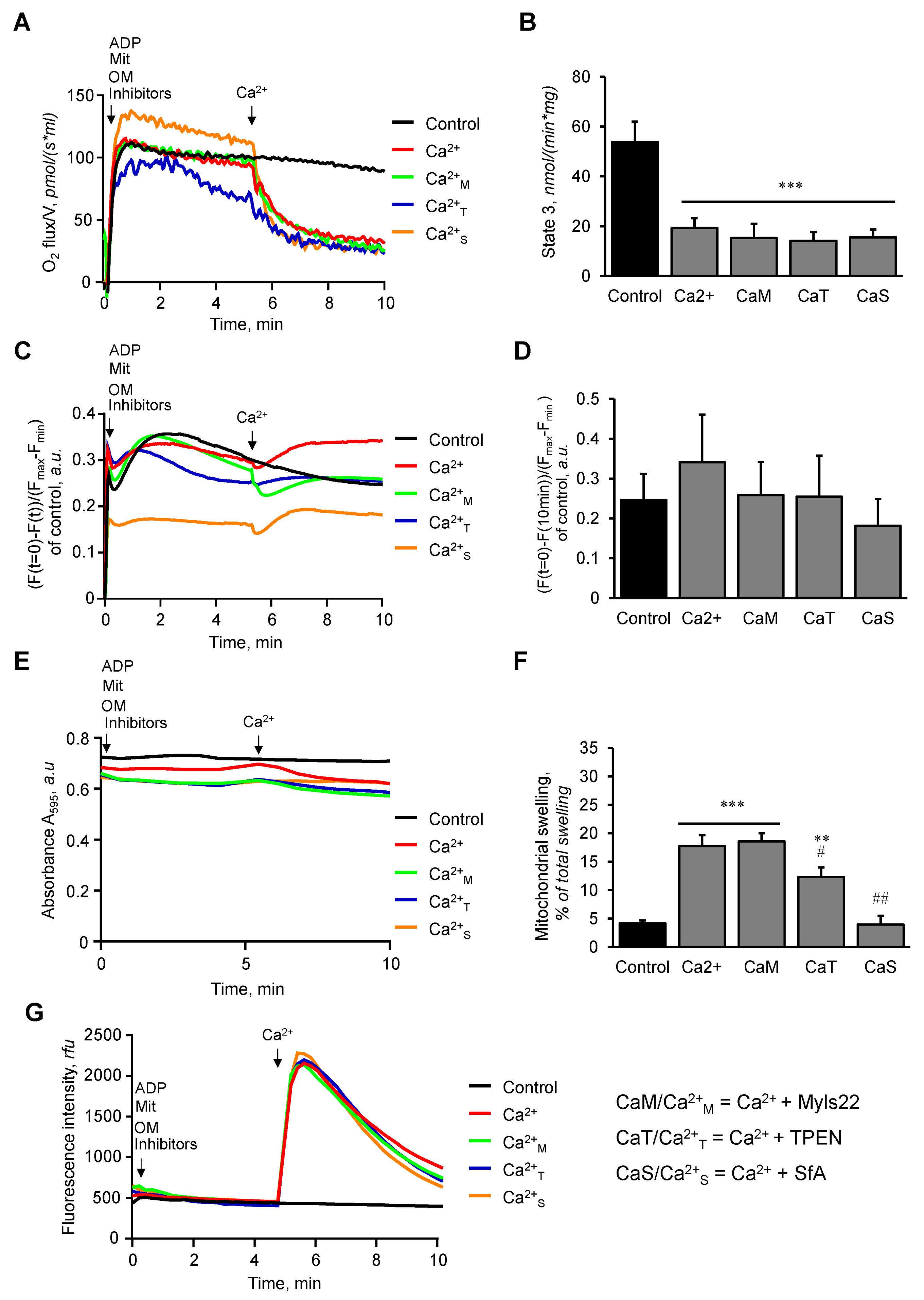 Cells 12 02017 g004 Cells 12 02017 g004