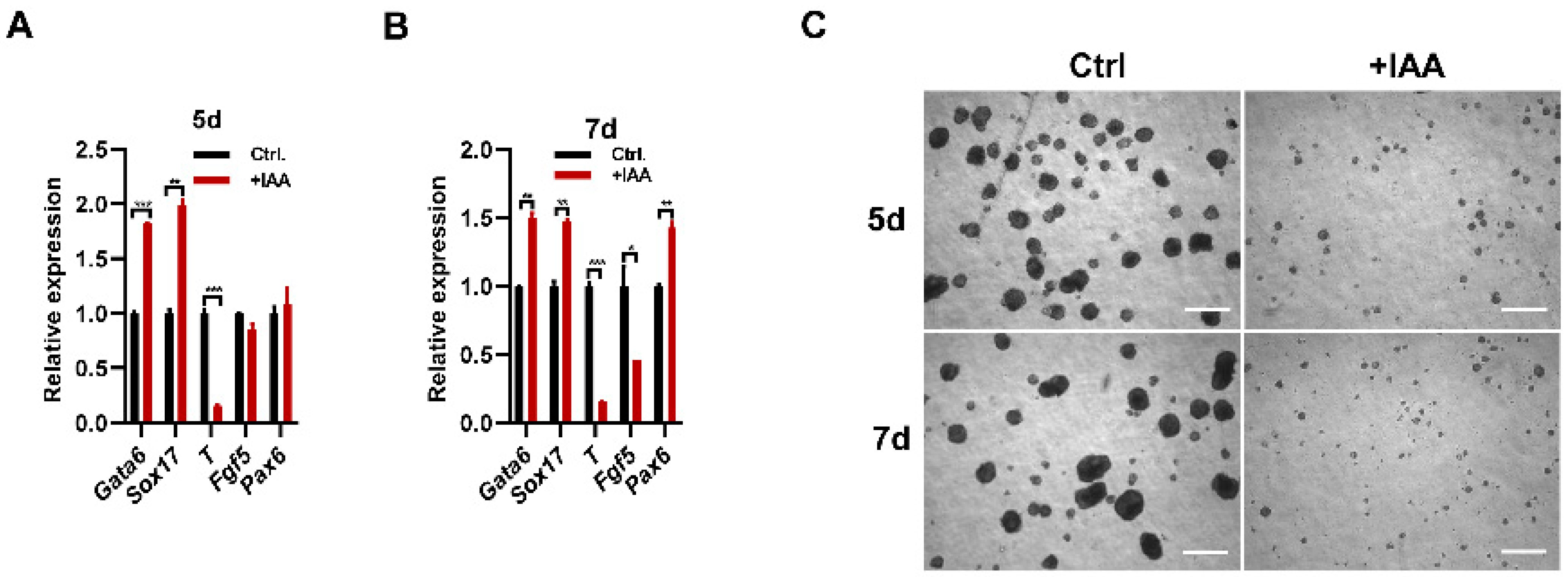 Cells 12 02023 g003 Cells 12 02023 g003