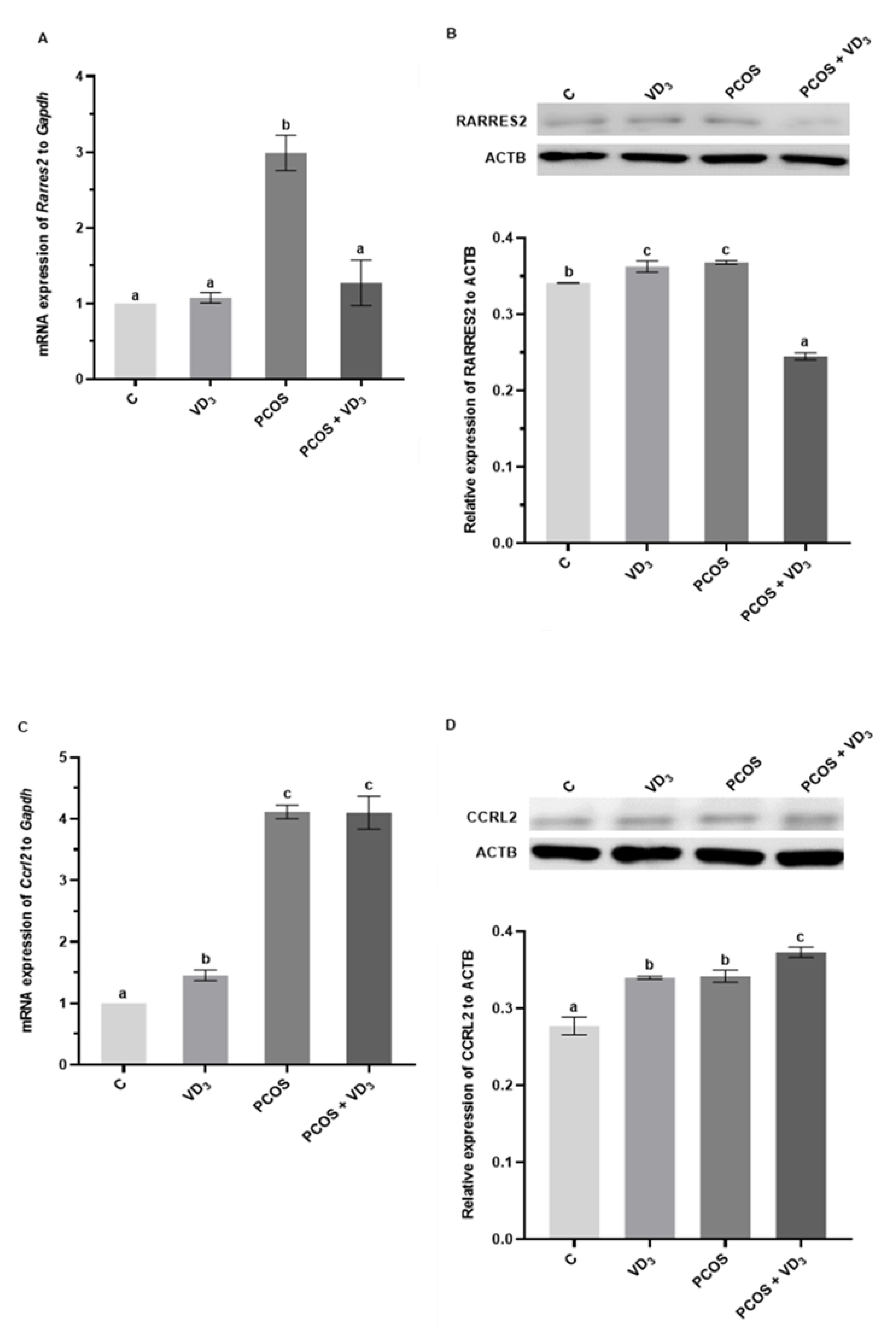 Cells 12 02026 g005a