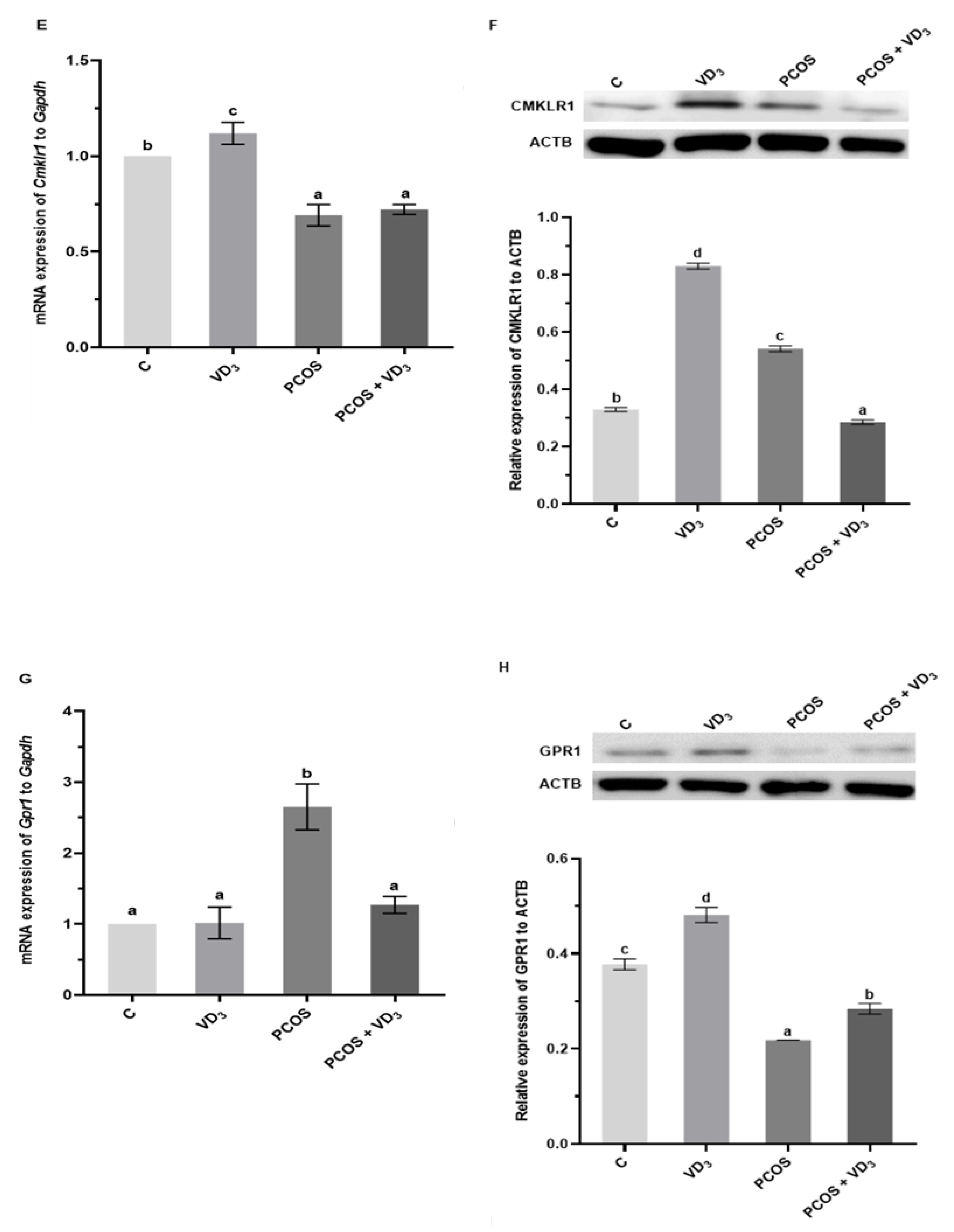 Cells 12 02026 g005b