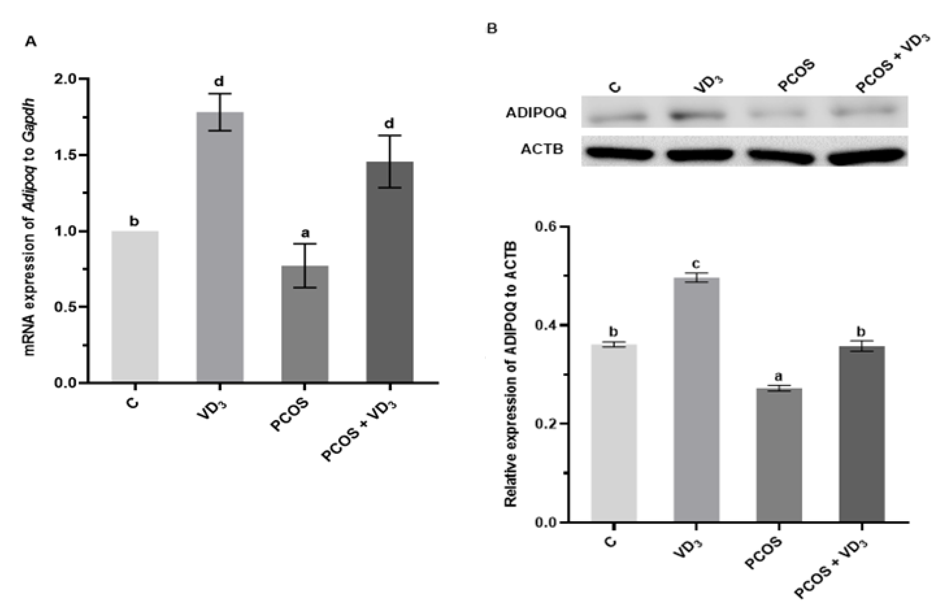 Cells 12 02026 g007a