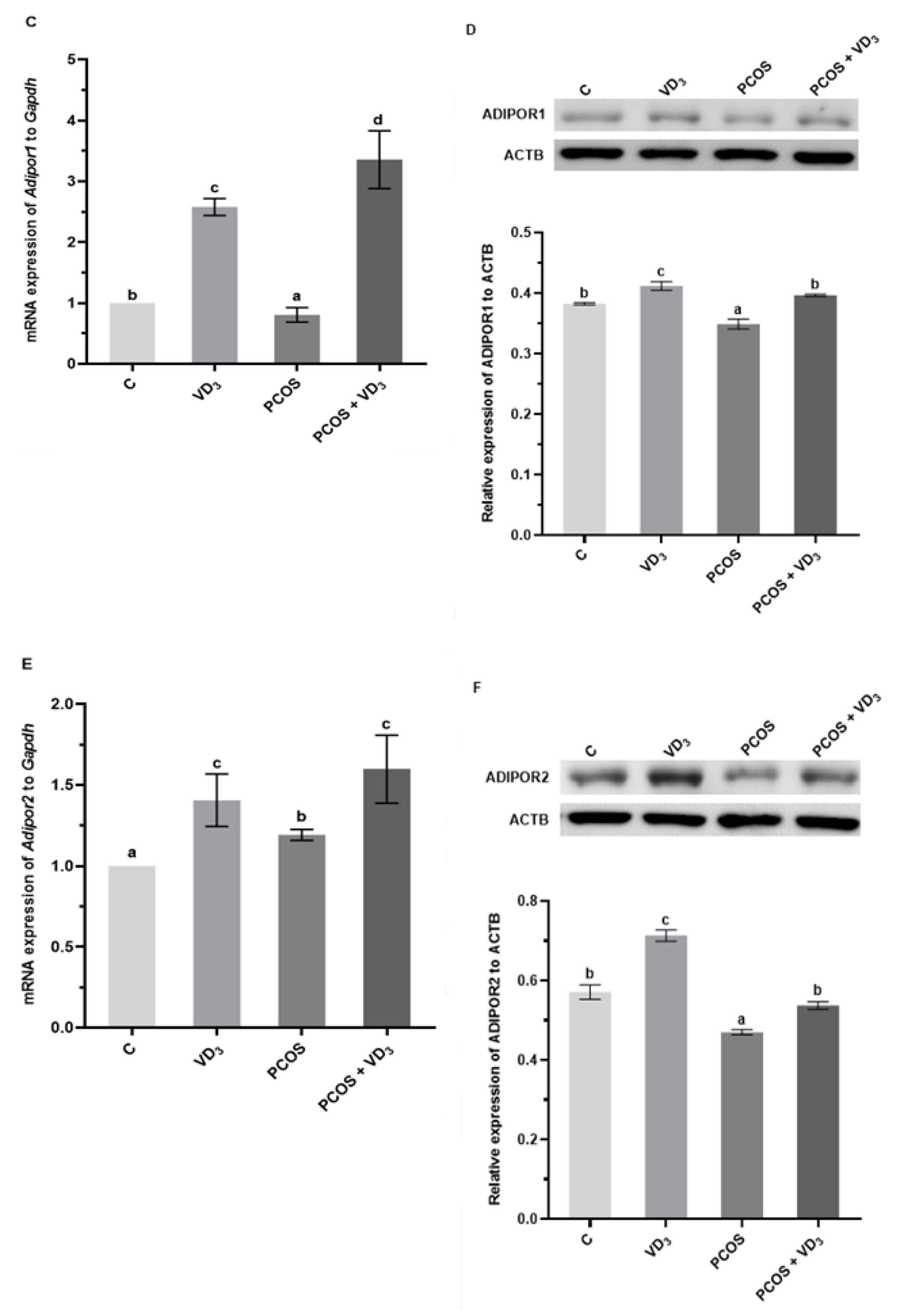 Cells 12 02026 g007b