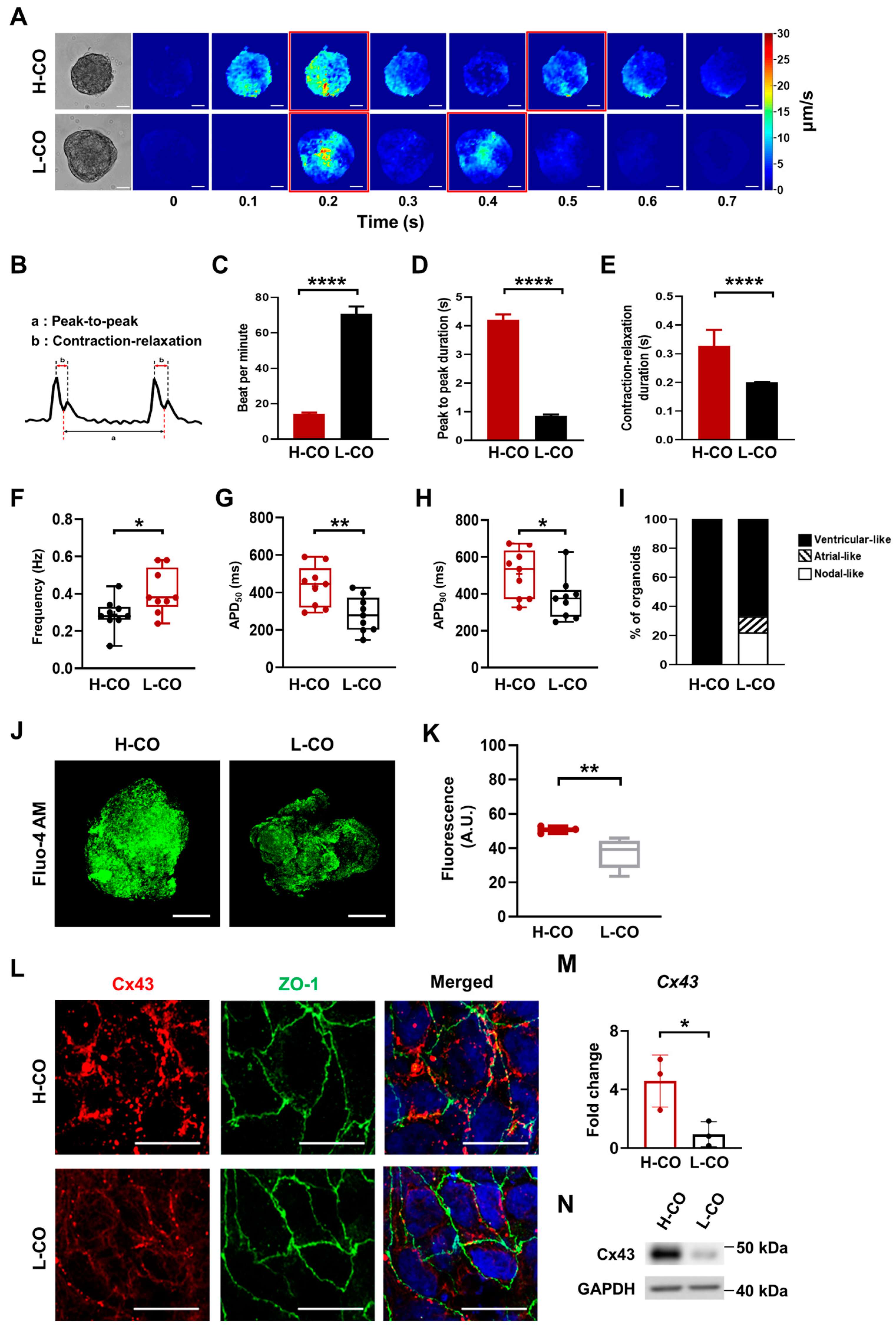 Cells 12 02029 g003 Cells 12 02029 g003