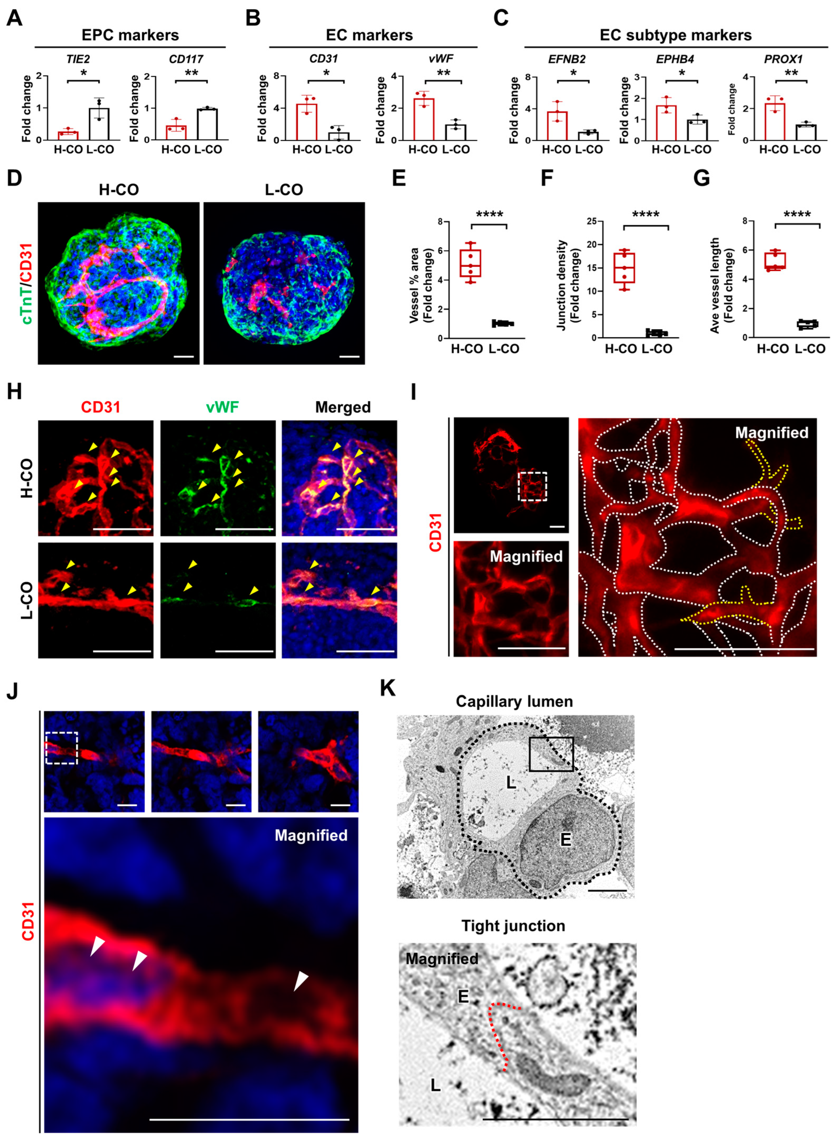 Cells 12 02029 g004 Cells 12 02029 g004