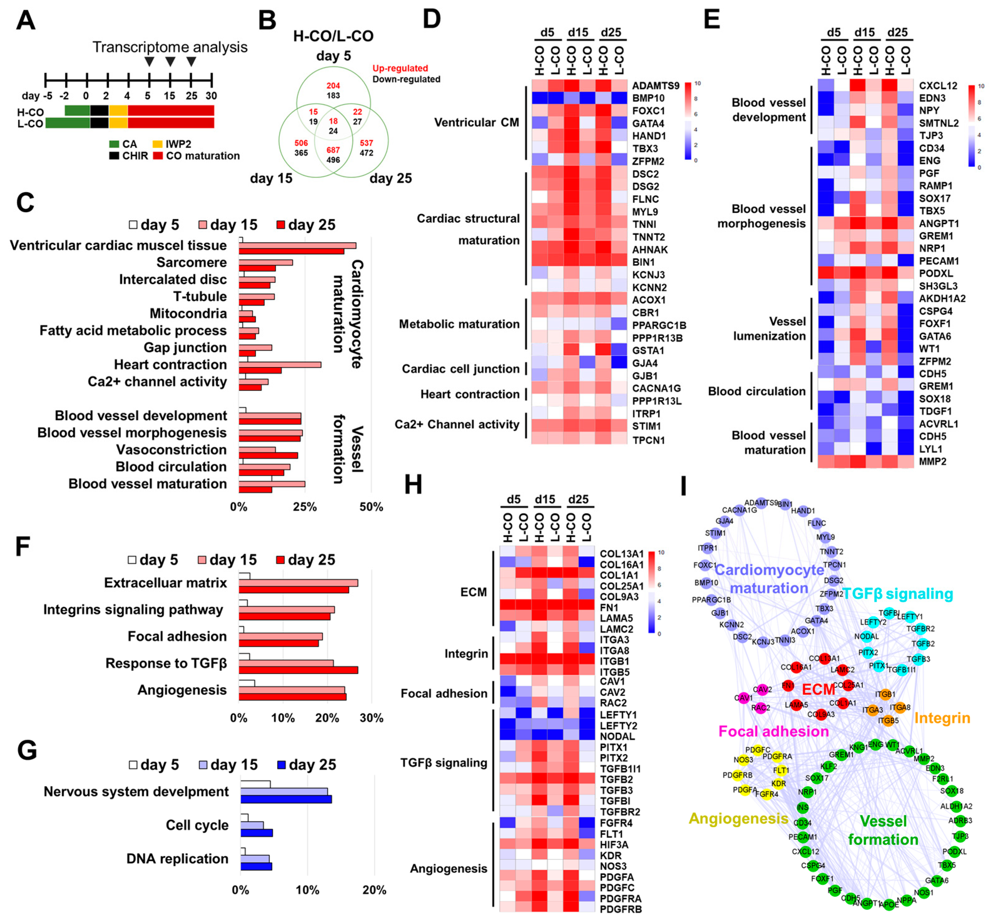 Cells 12 02029 g006 Cells 12 02029 g006
