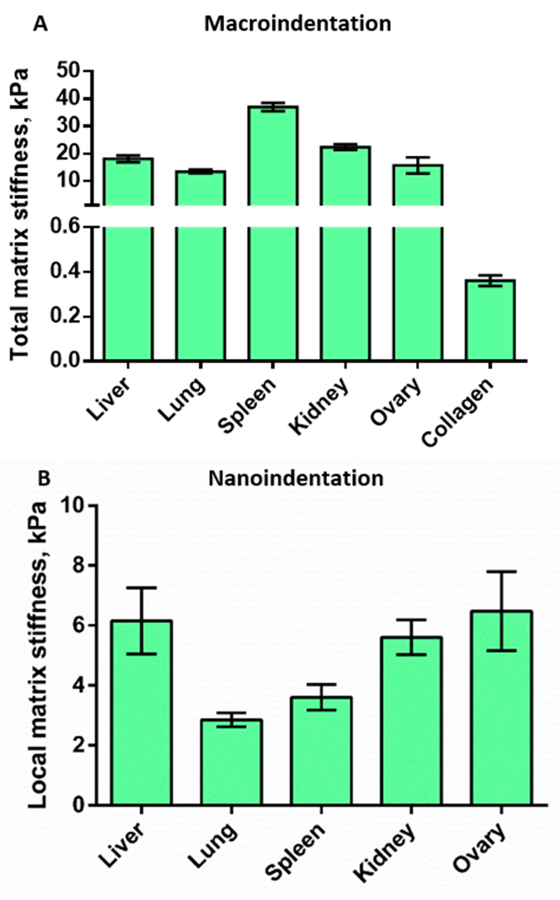 Cells 12 02030 g004 Cells 12 02030 g004
