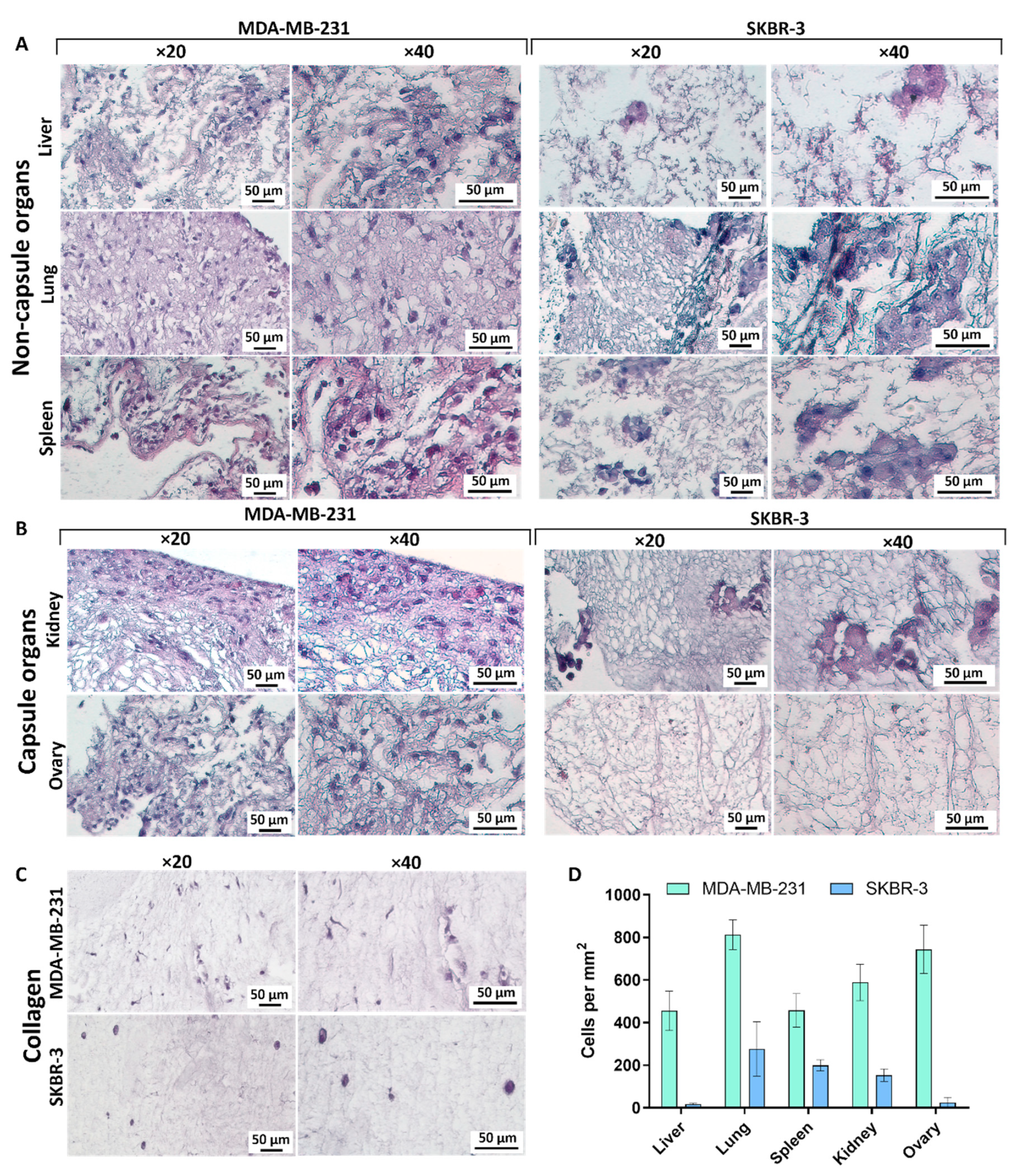 Cells 12 02030 g005 Cells 12 02030 g005