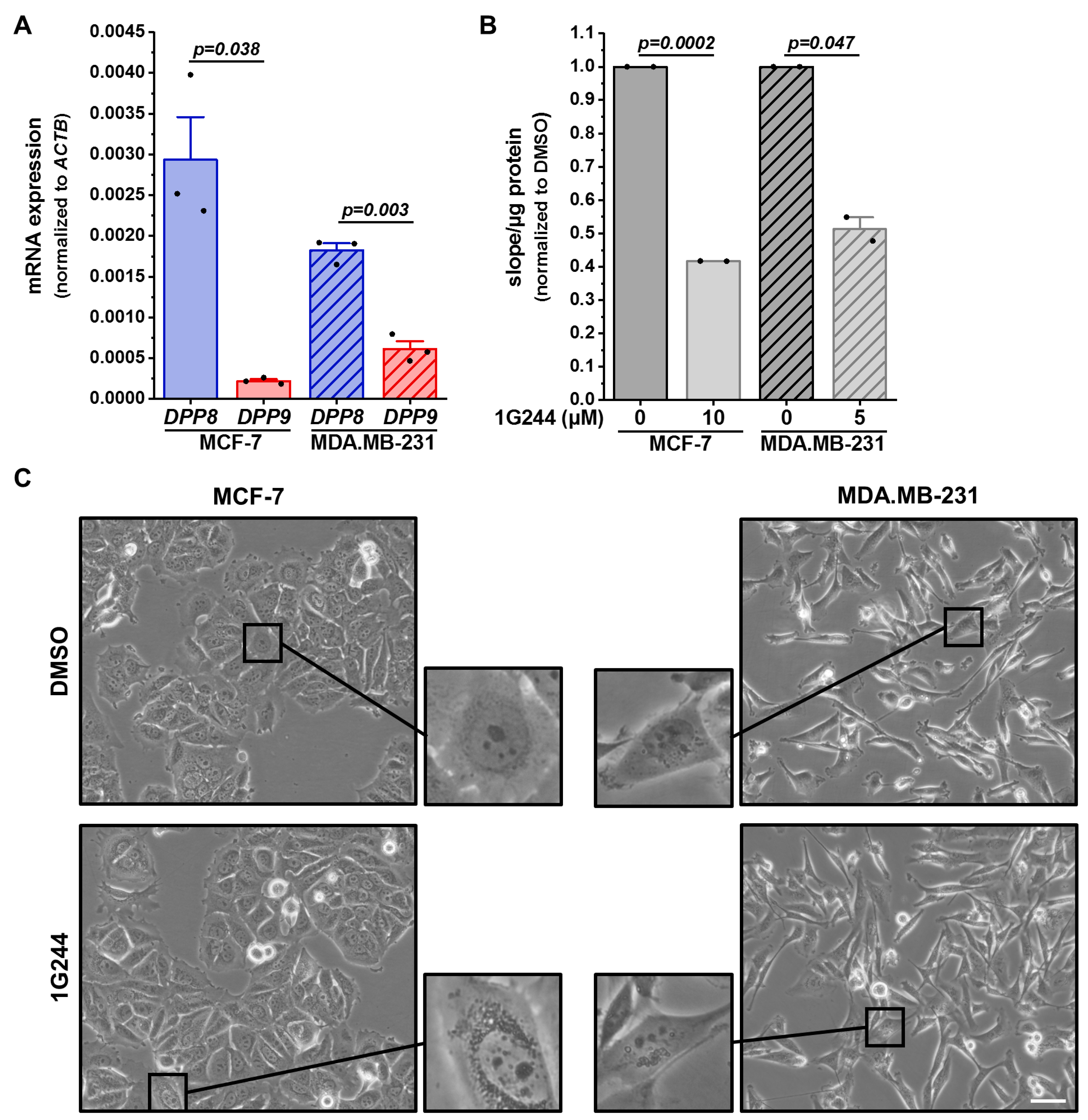 Cells 12 02031 g001 Cells 12 02031 g001