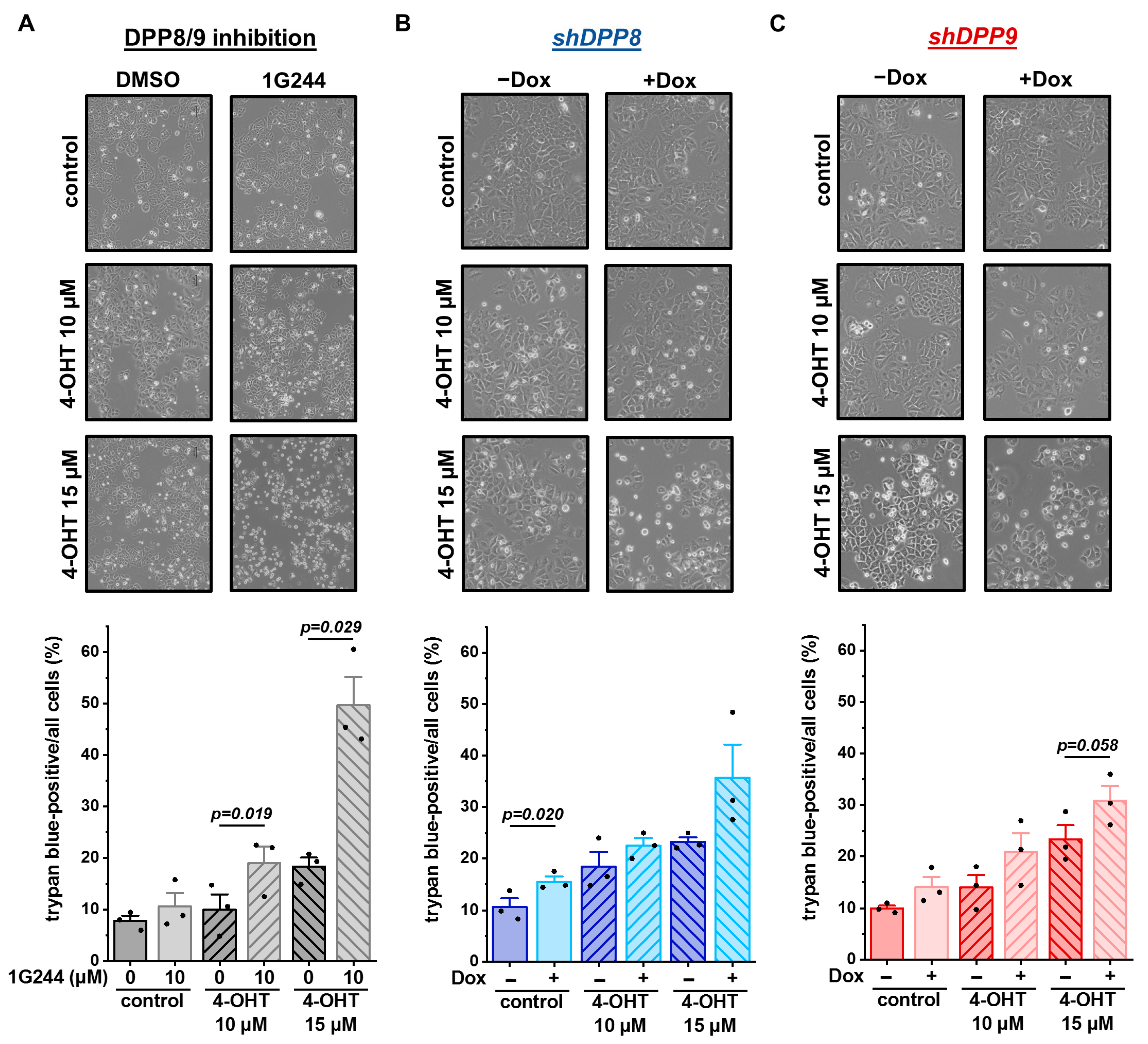 Cells 12 02031 g007 Cells 12 02031 g007