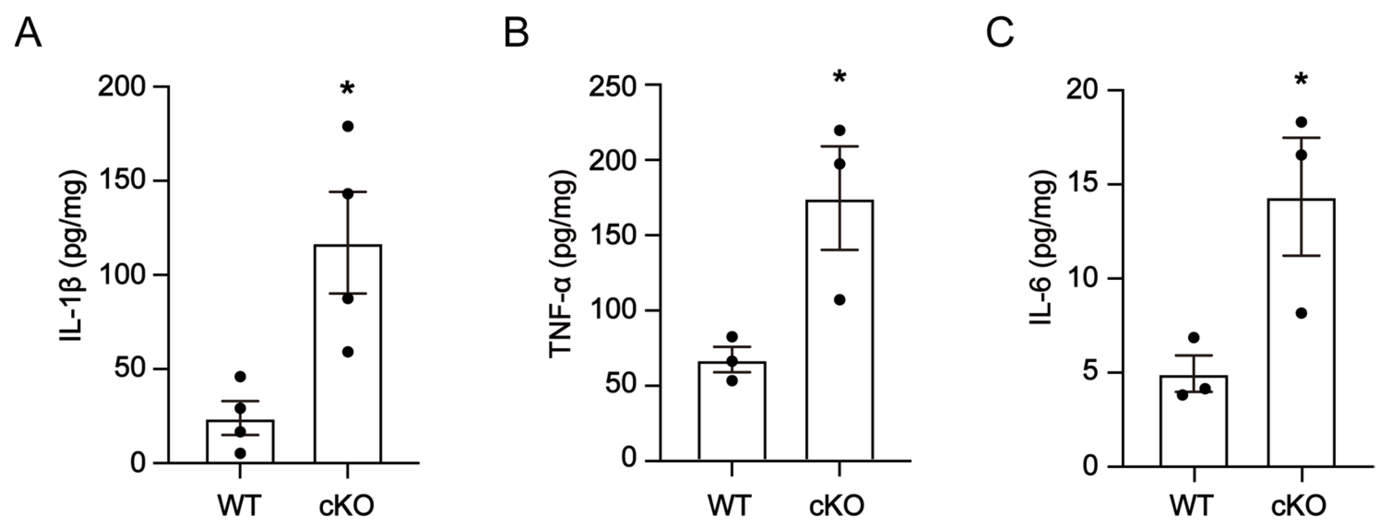 Cells 12 02032 g004 Cells 12 02032 g004