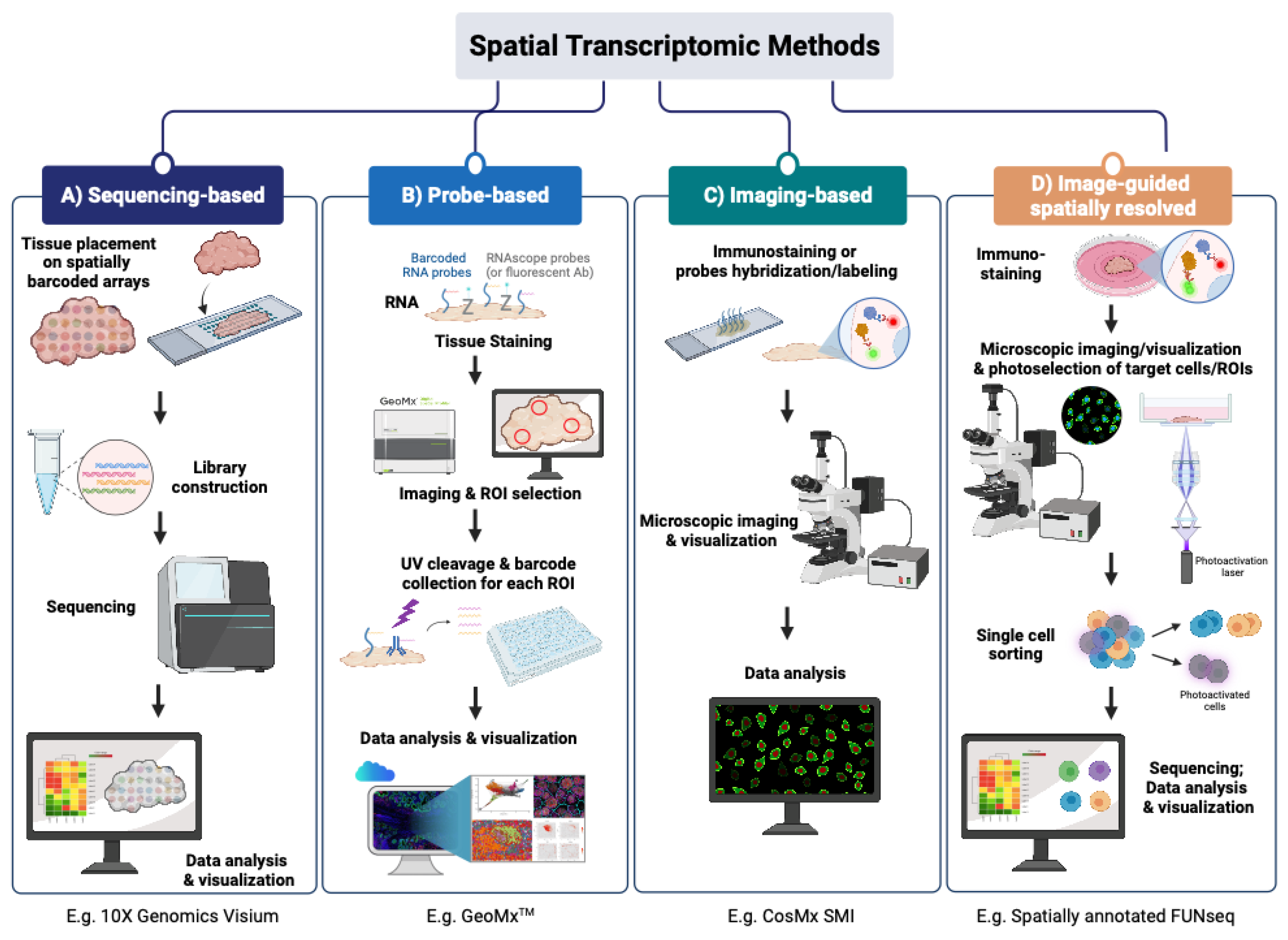 Spatially resolved transcriptomics: advances and applications