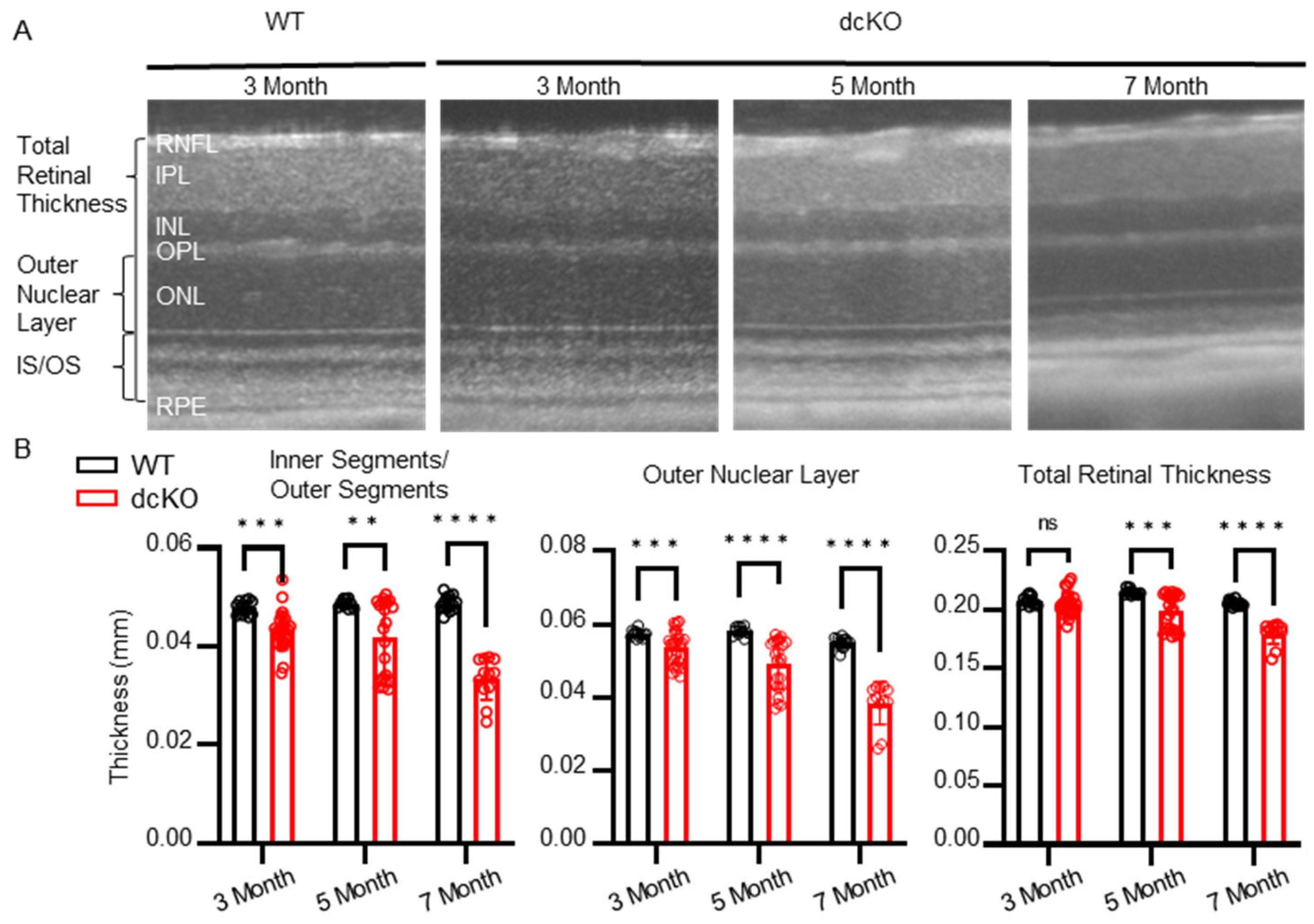 Cells 12 02043 g002 Cells 12 02043 g002