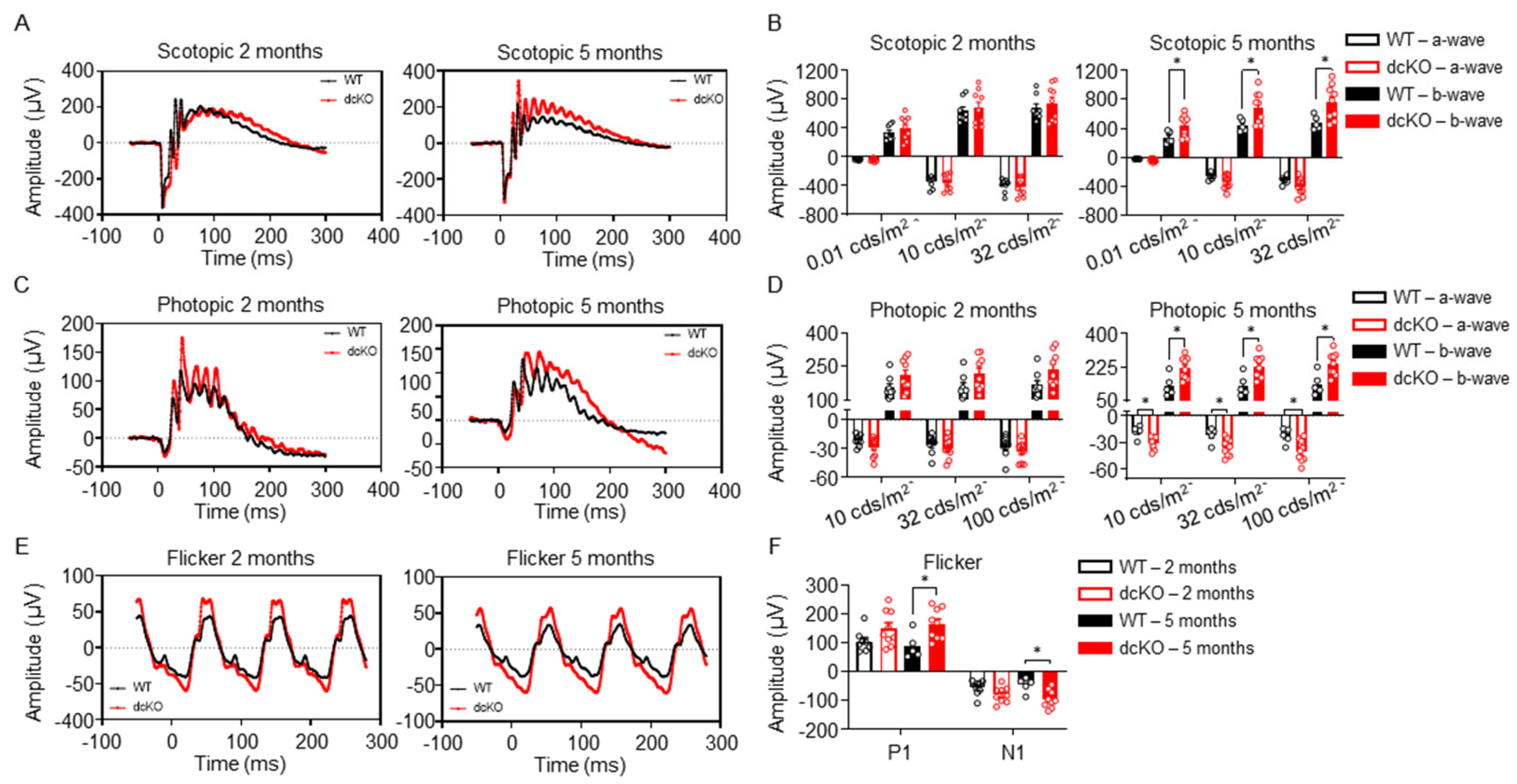 Cells 12 02043 g003 Cells 12 02043 g003