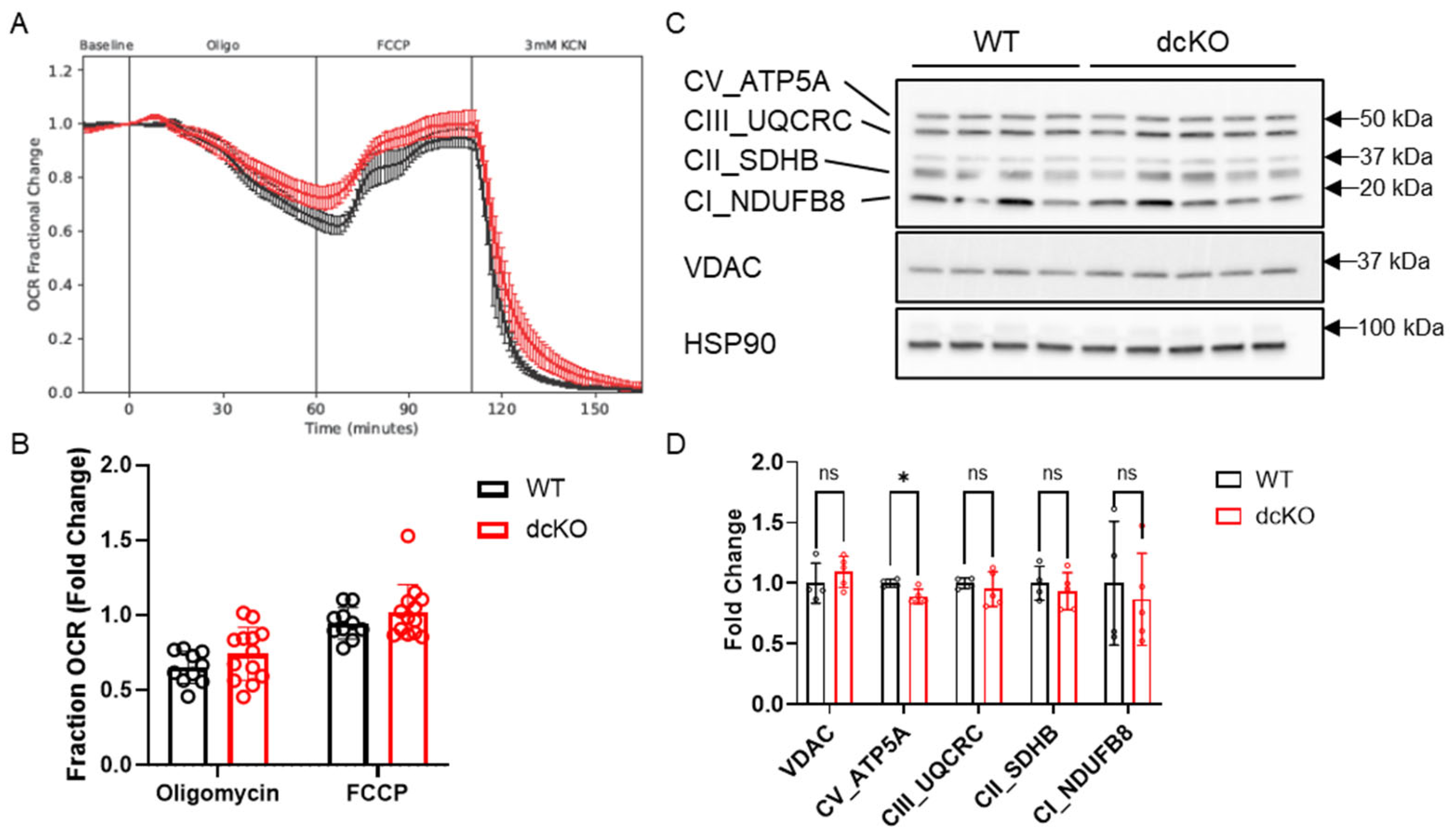 Cells 12 02043 g006 Cells 12 02043 g006