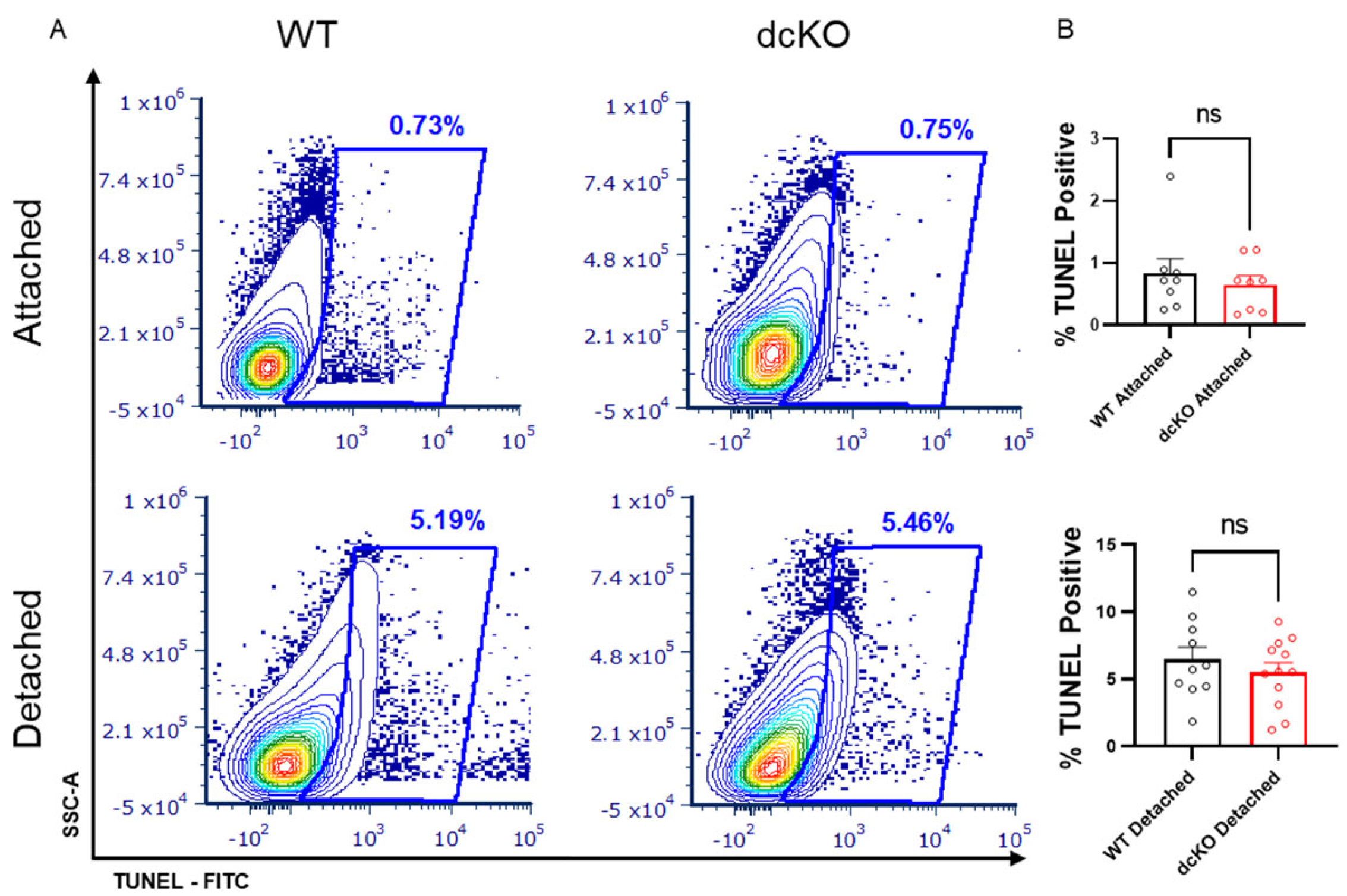 Cells 12 02043 g007 Cells 12 02043 g007