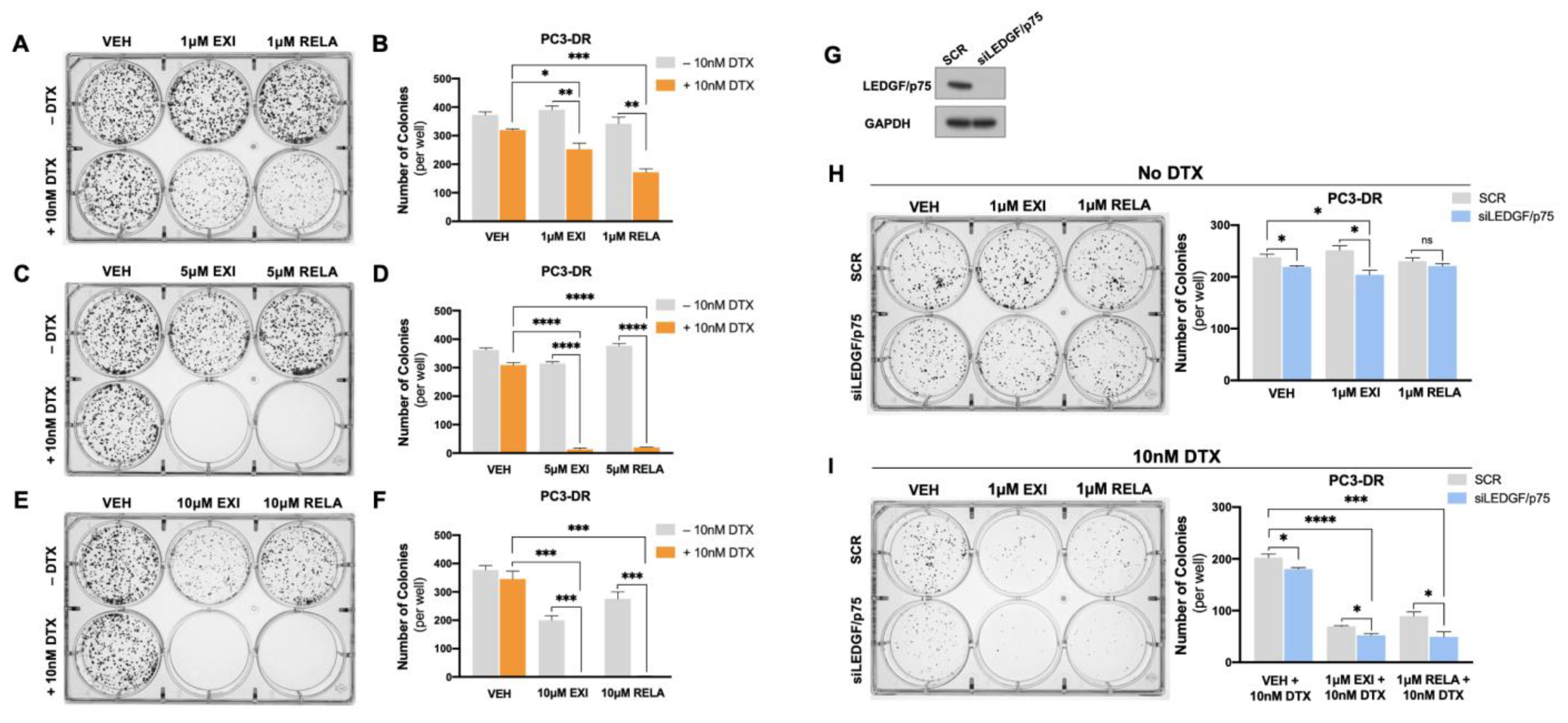 Cells 12 02046 g011 Cells 12 02046 g011