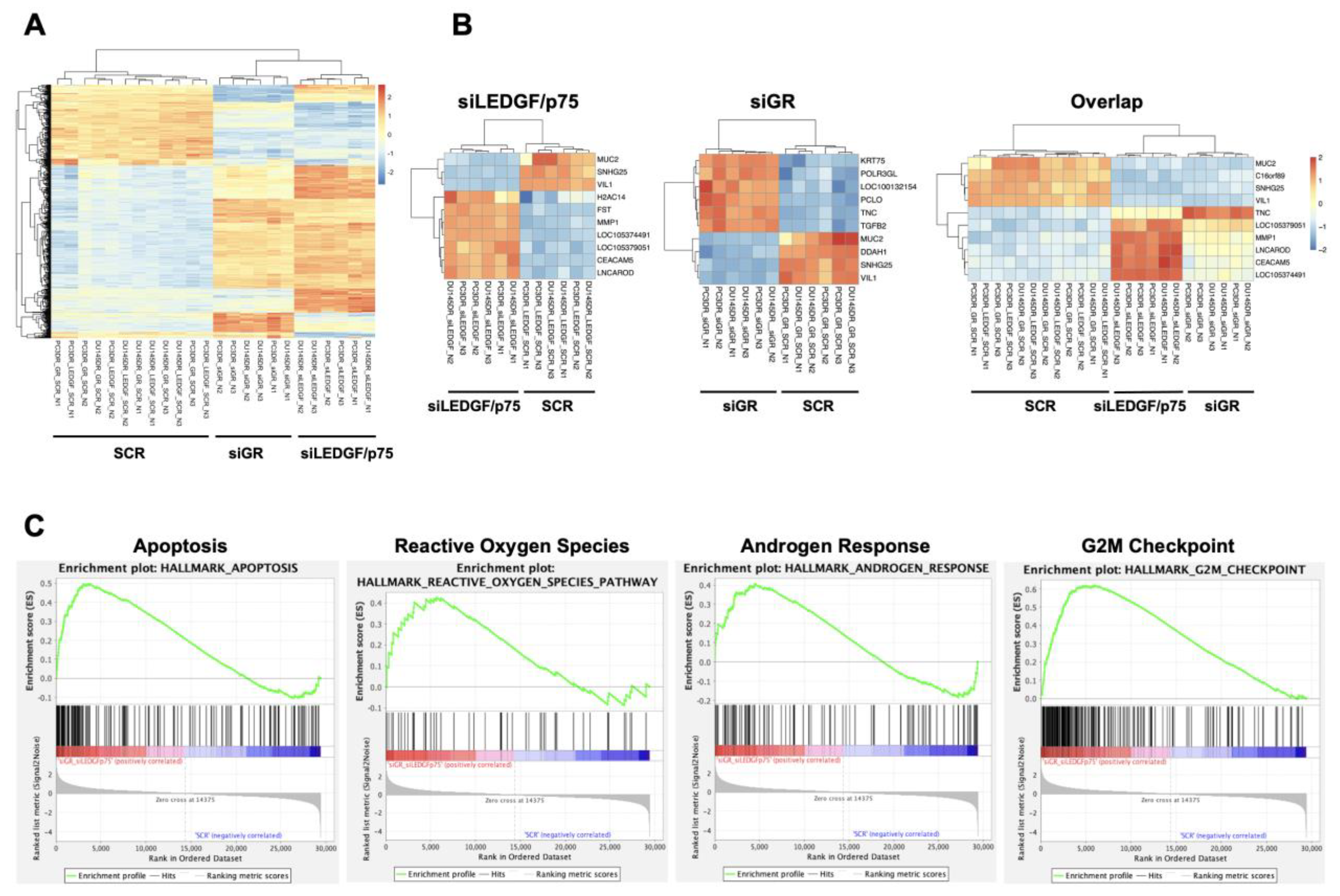 Cells 12 02046 g012 Cells 12 02046 g012