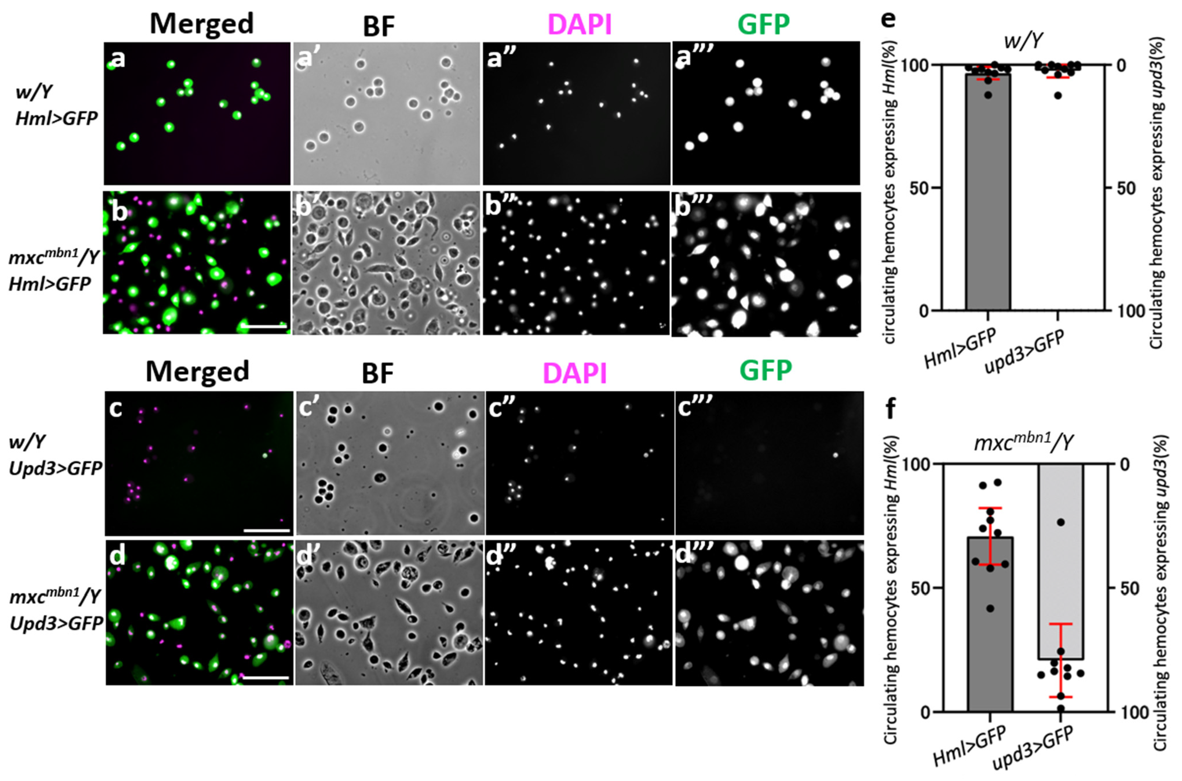 Cells 12 02047 g001 Cells 12 02047 g001