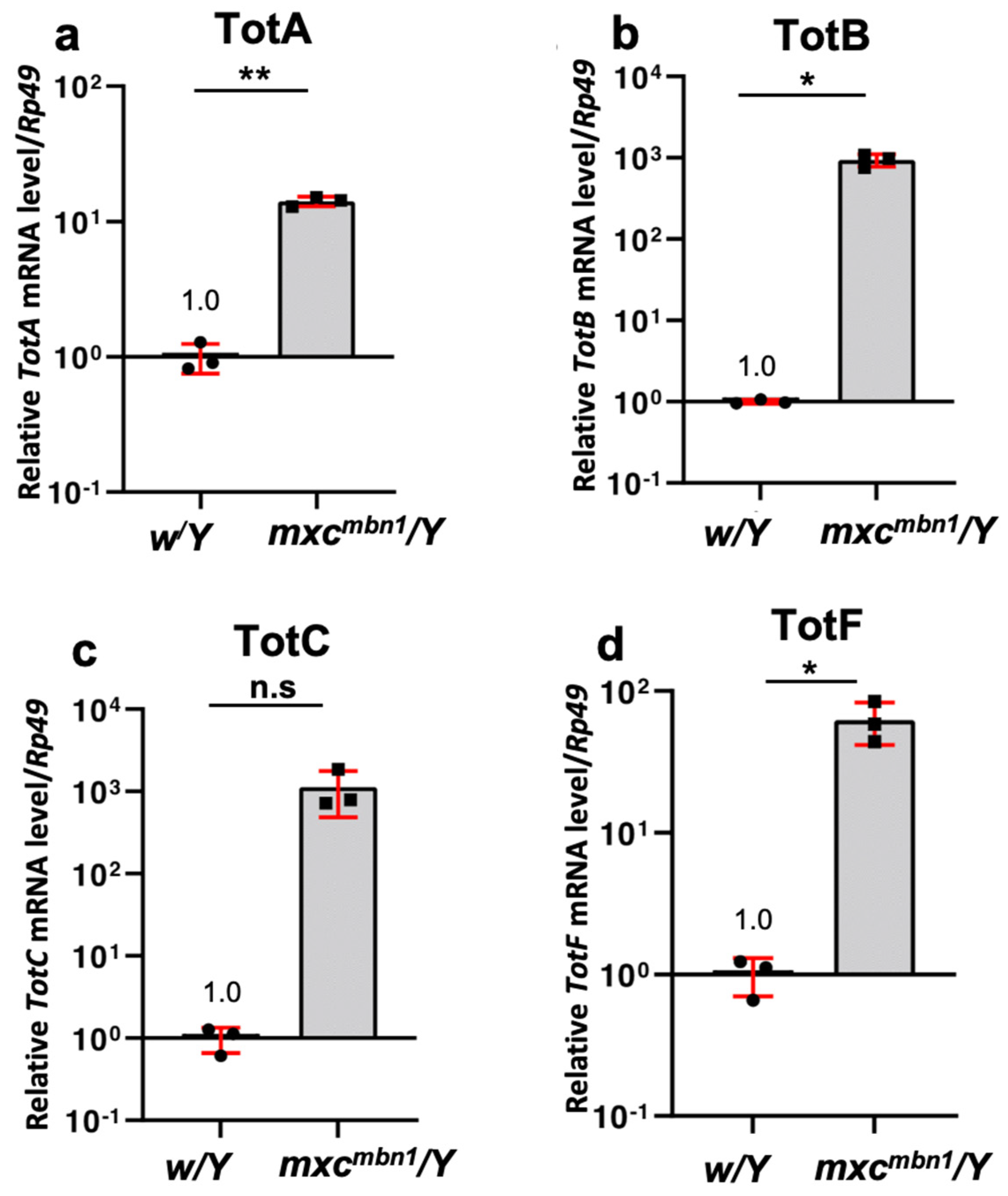 Cells 12 02047 g003 Cells 12 02047 g003