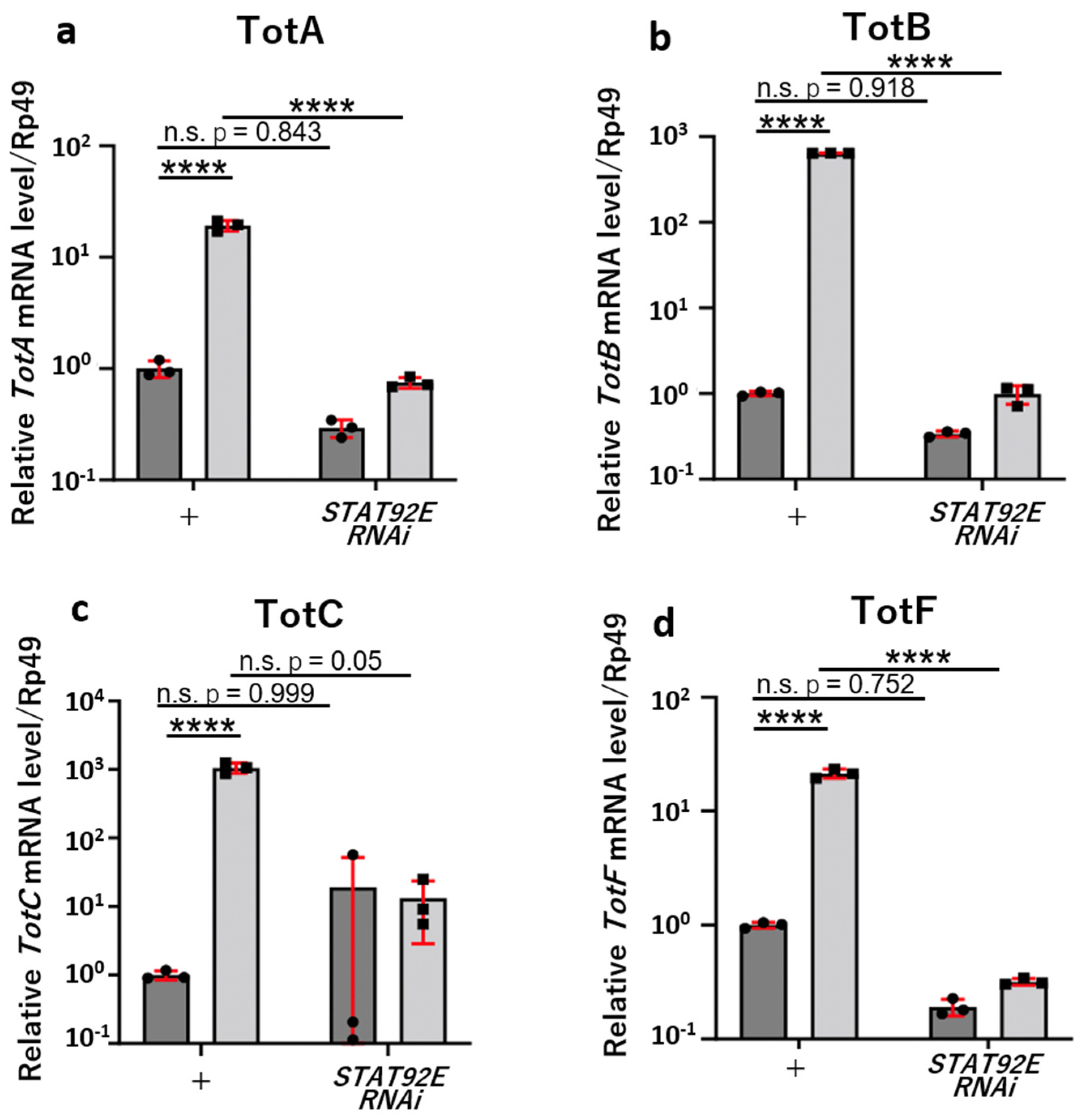 Cells 12 02047 g004 Cells 12 02047 g004