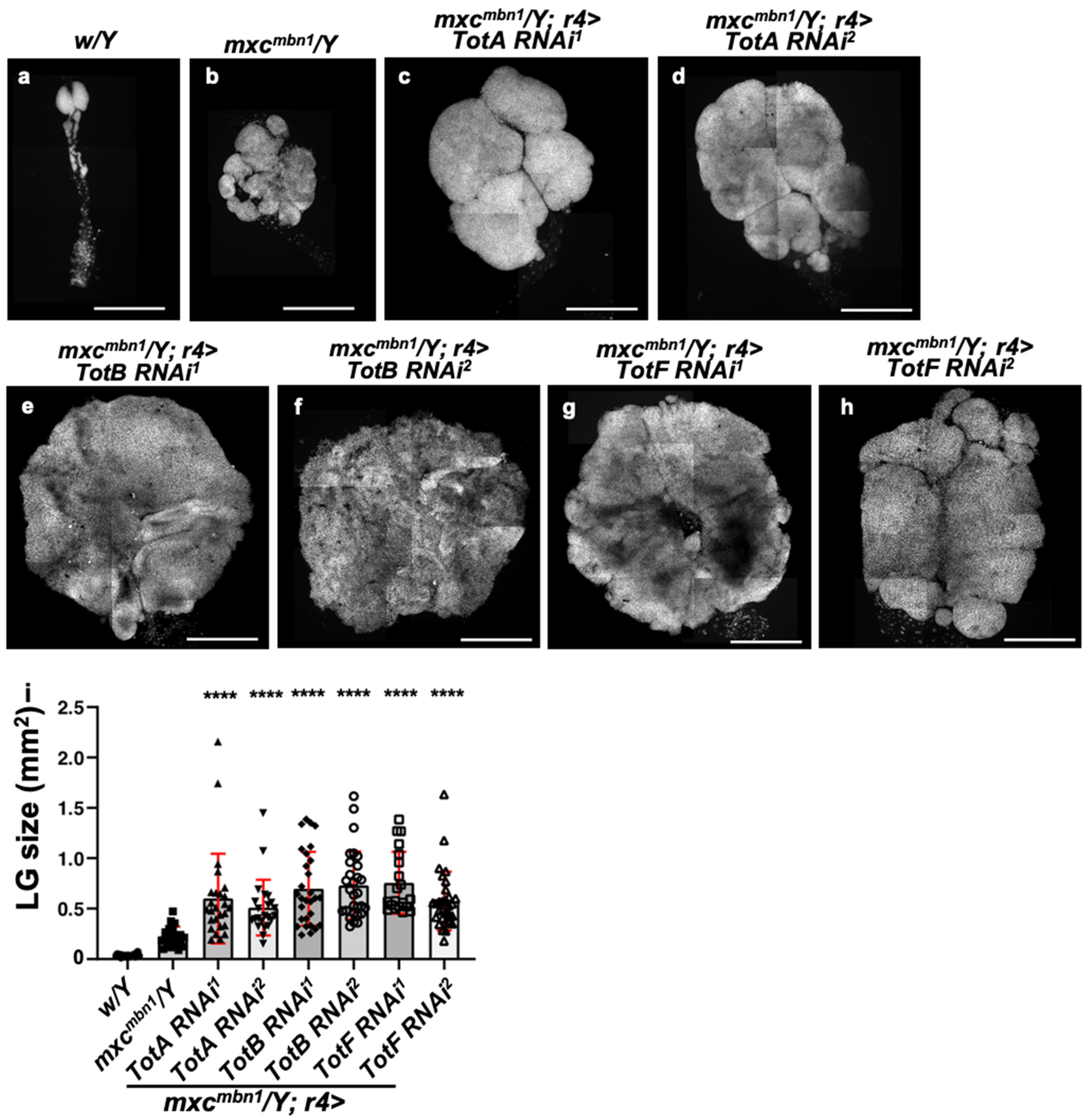 Cells 12 02047 g005 Cells 12 02047 g005