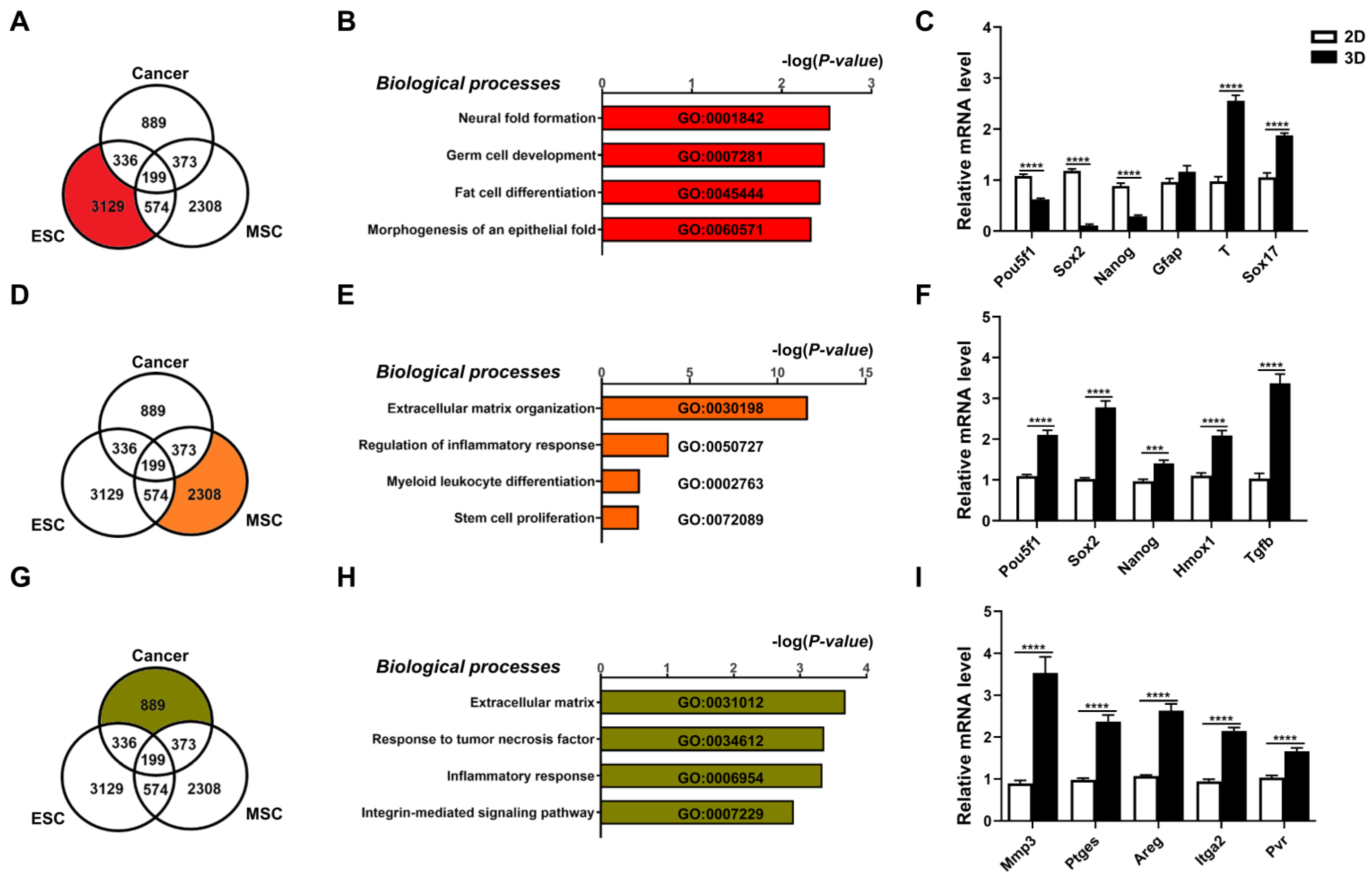 Cells 12 02050 g002 Cells 12 02050 g002