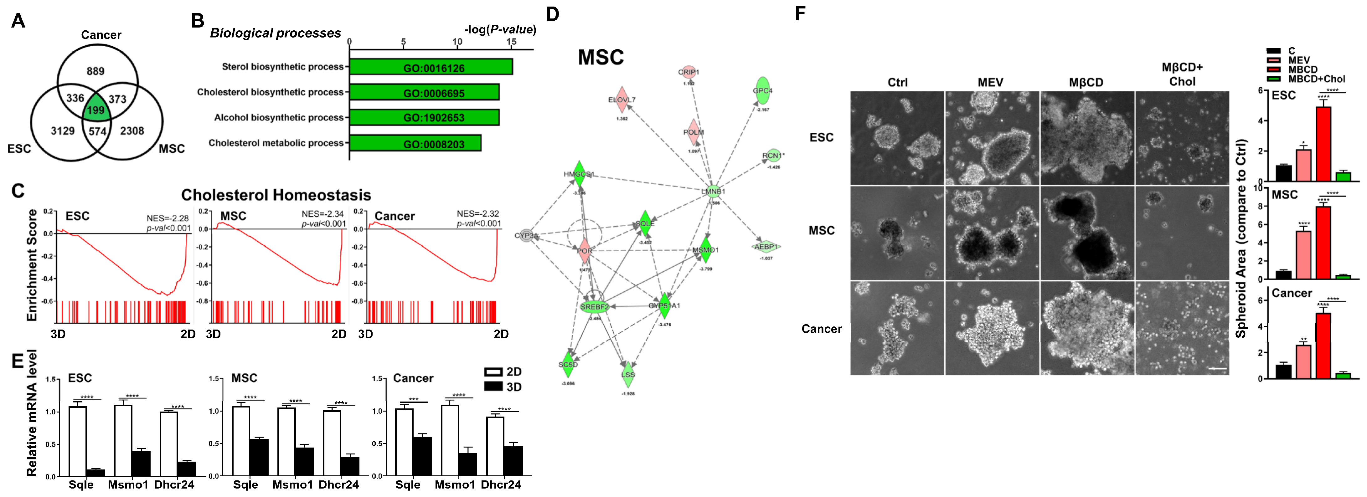 Cells 12 02050 g003 Cells 12 02050 g003