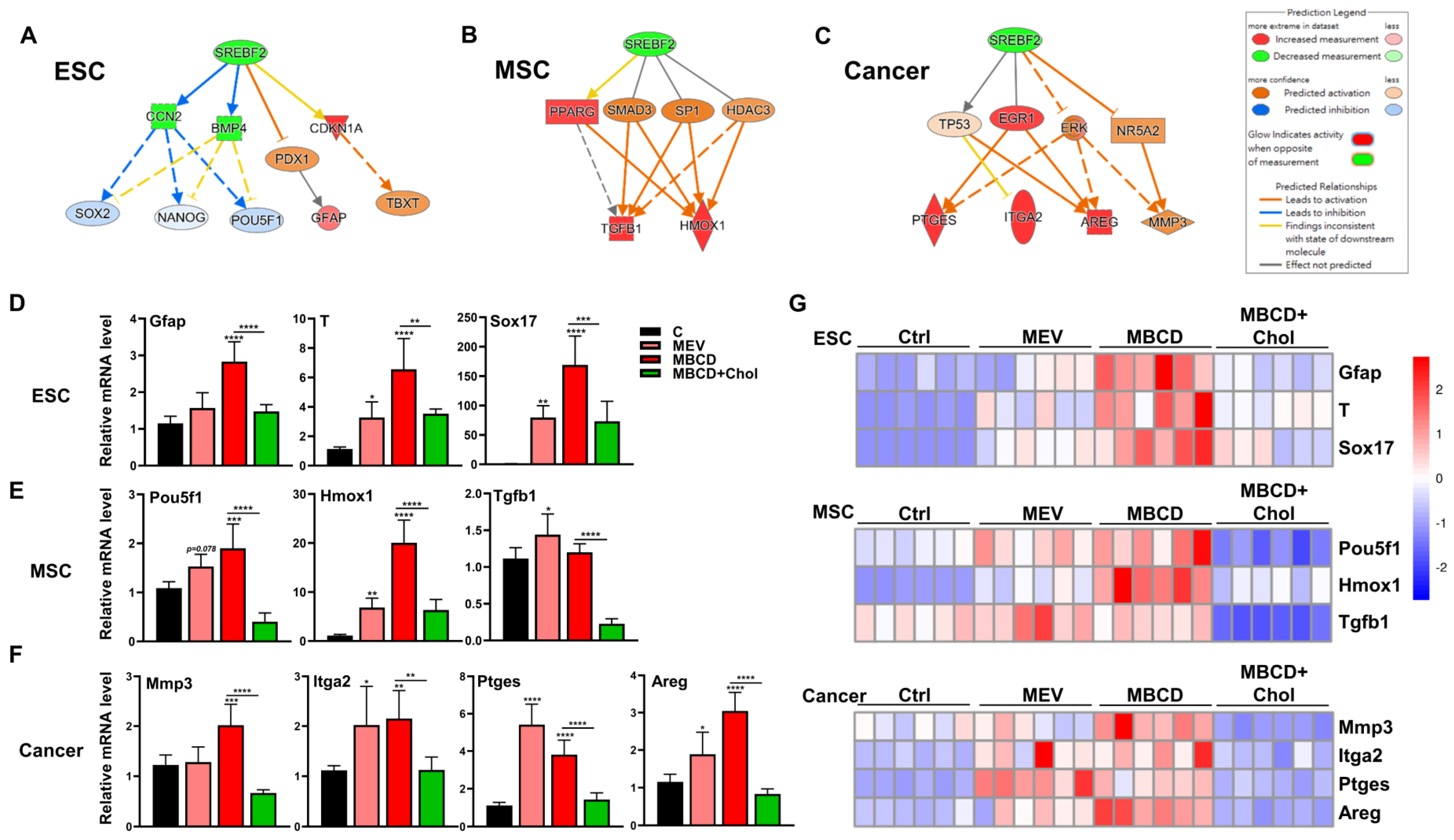 Cells 12 02050 g005 Cells 12 02050 g005