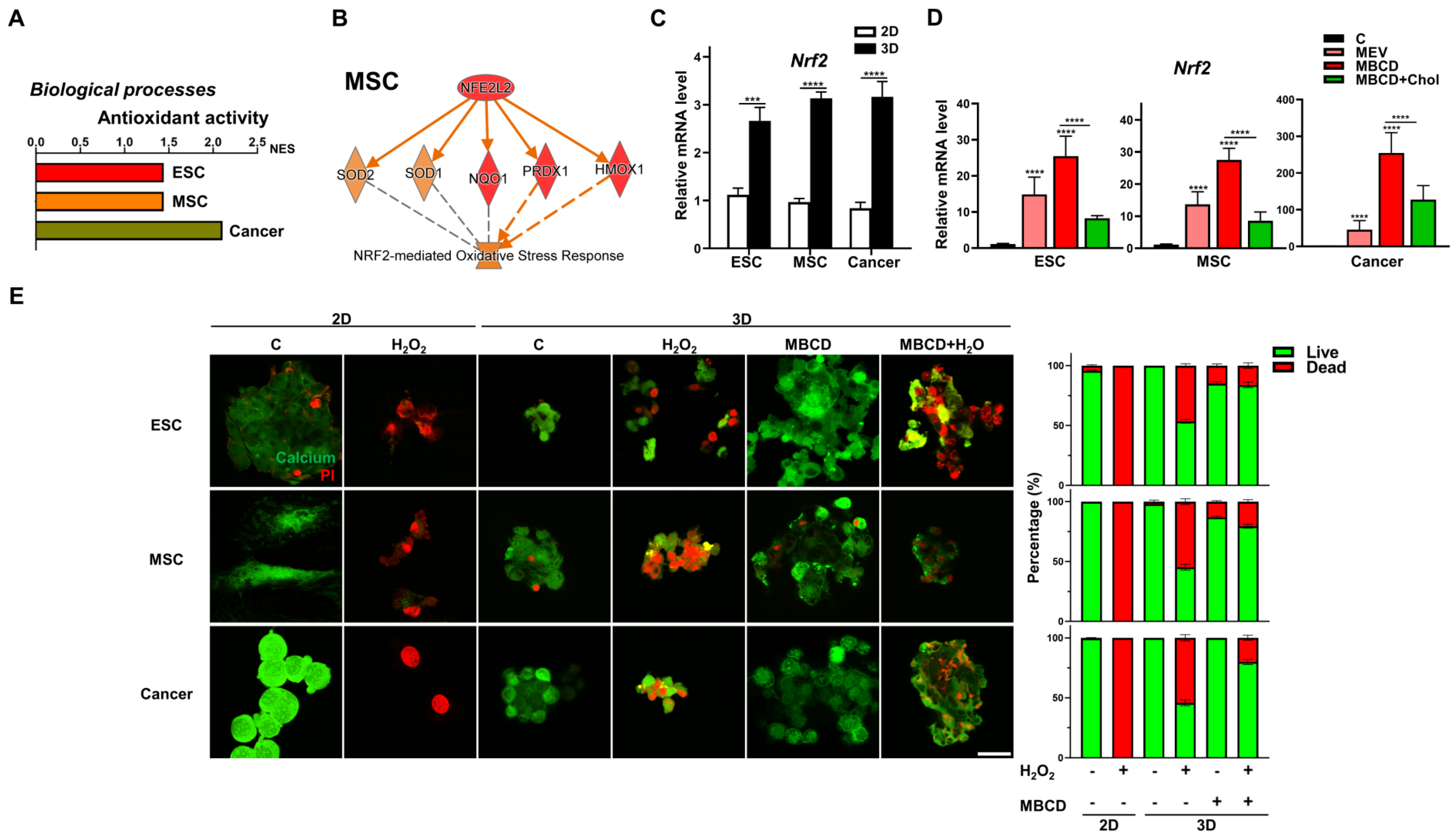 Cells 12 02050 g006 Cells 12 02050 g006