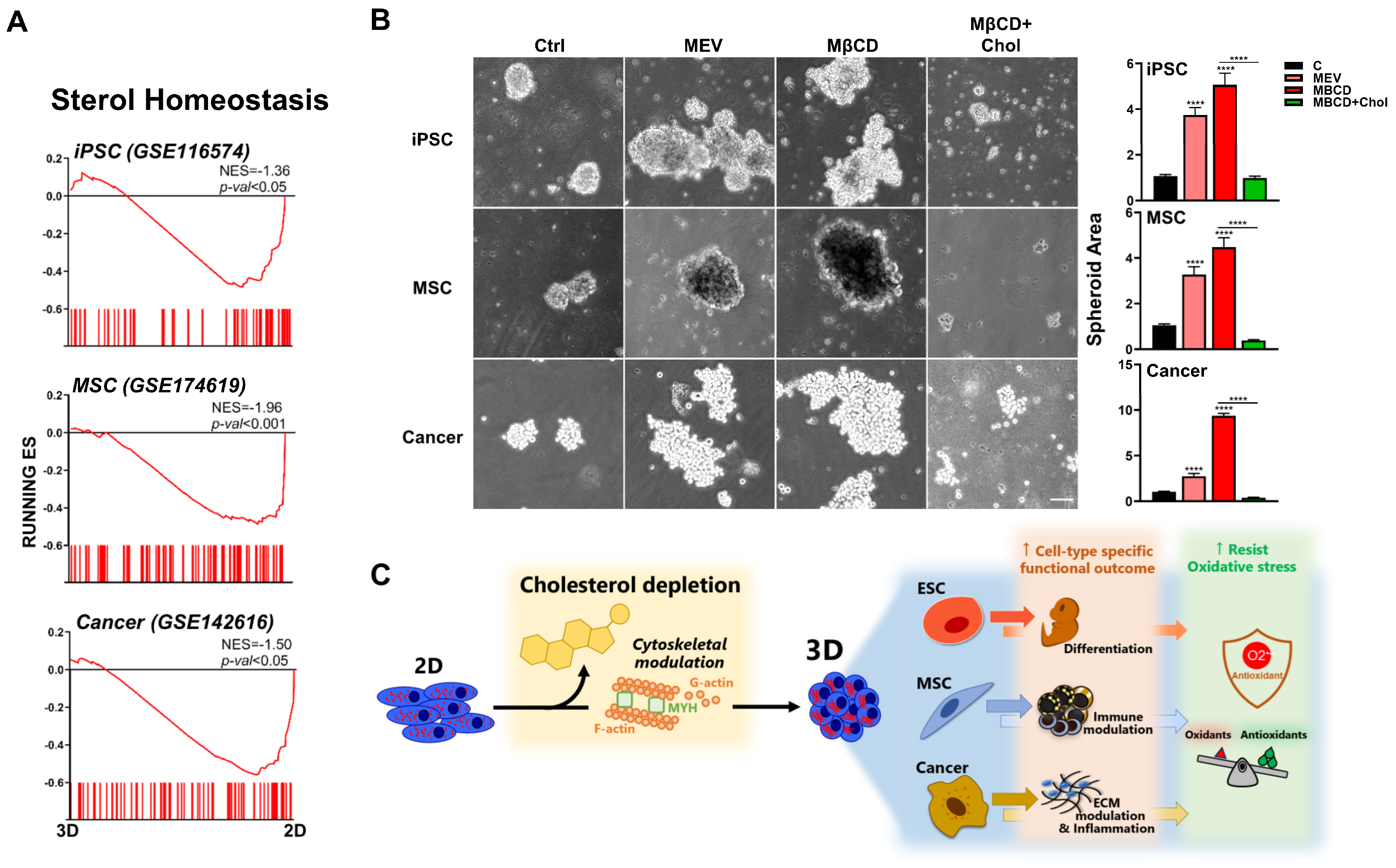 Cells 12 02050 g007 Cells 12 02050 g007