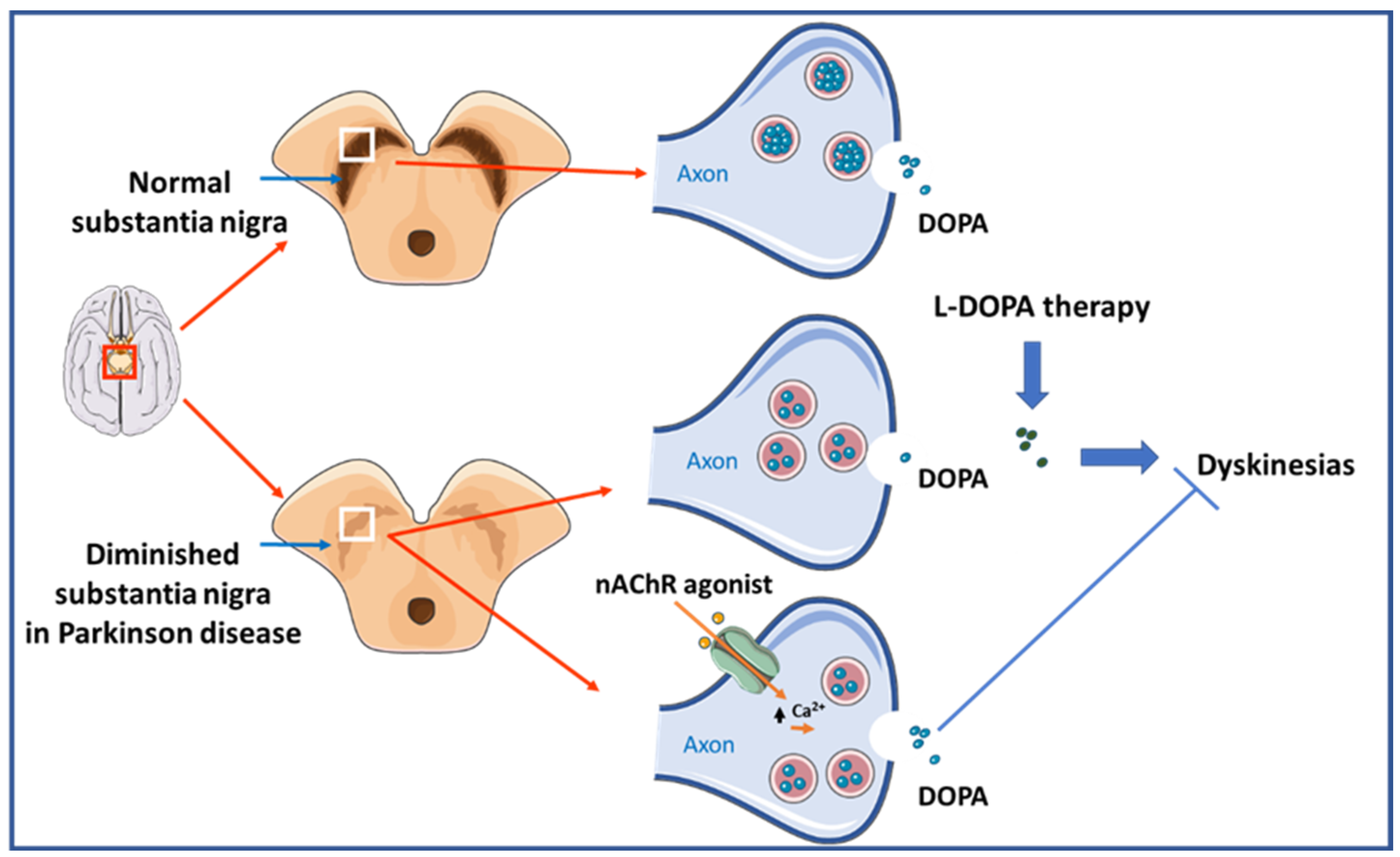 Cells 12 02051 g003 Cells 12 02051 g003