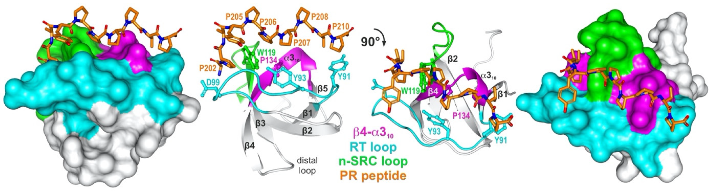 Cells 12 02054 g001 Cells 12 02054 g001