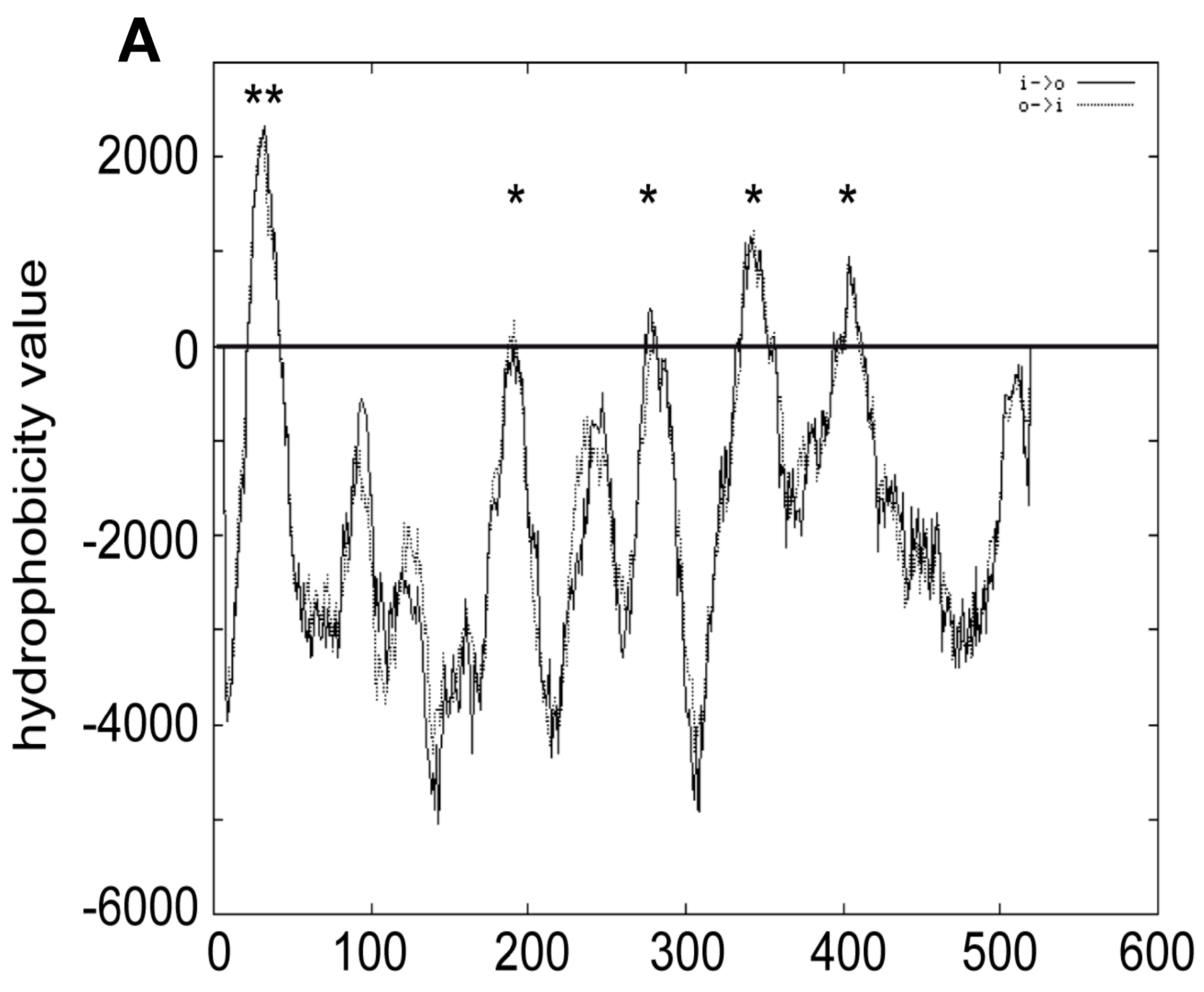 Cells 12 02056 g005a