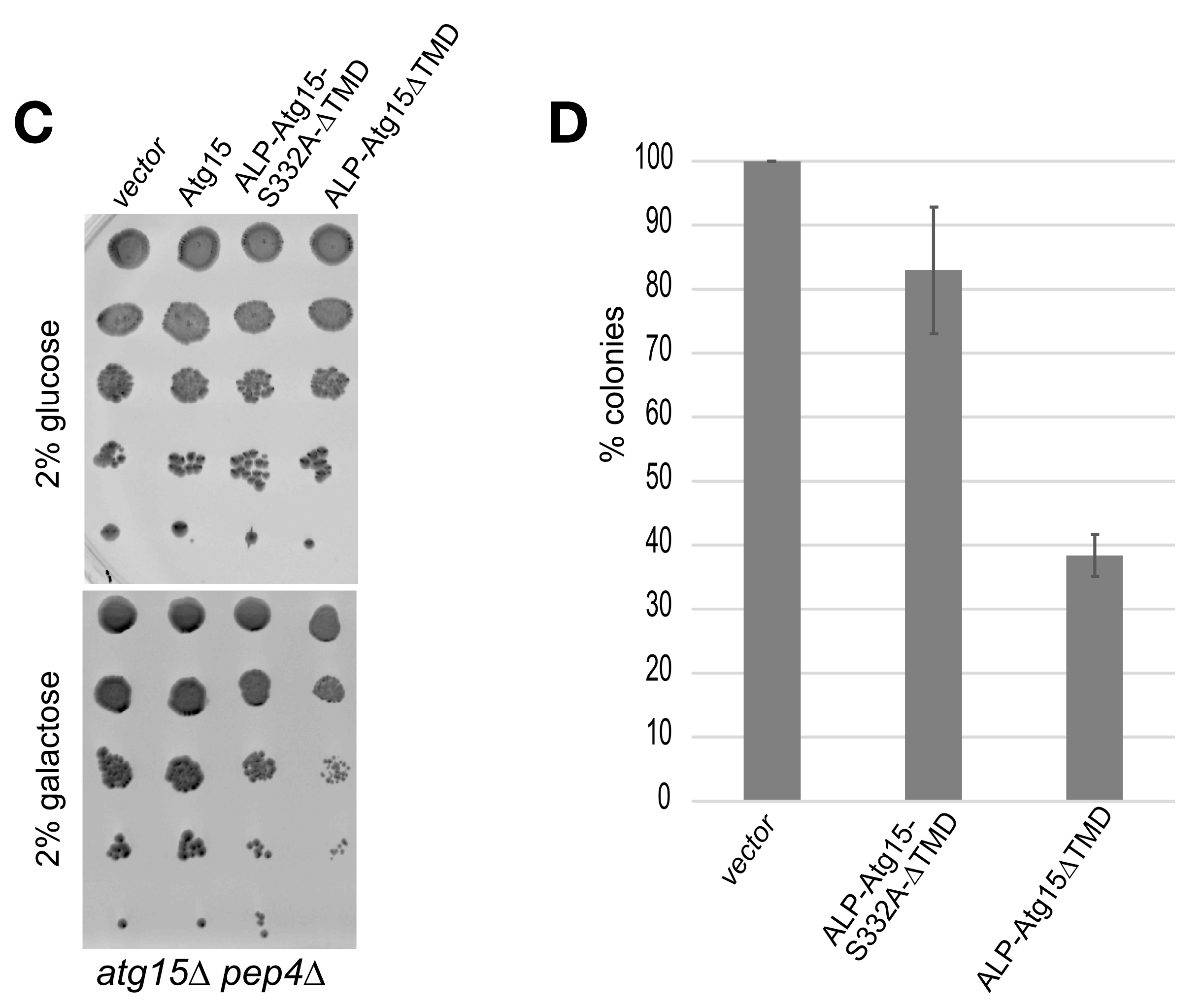 Cells 12 02056 g006c