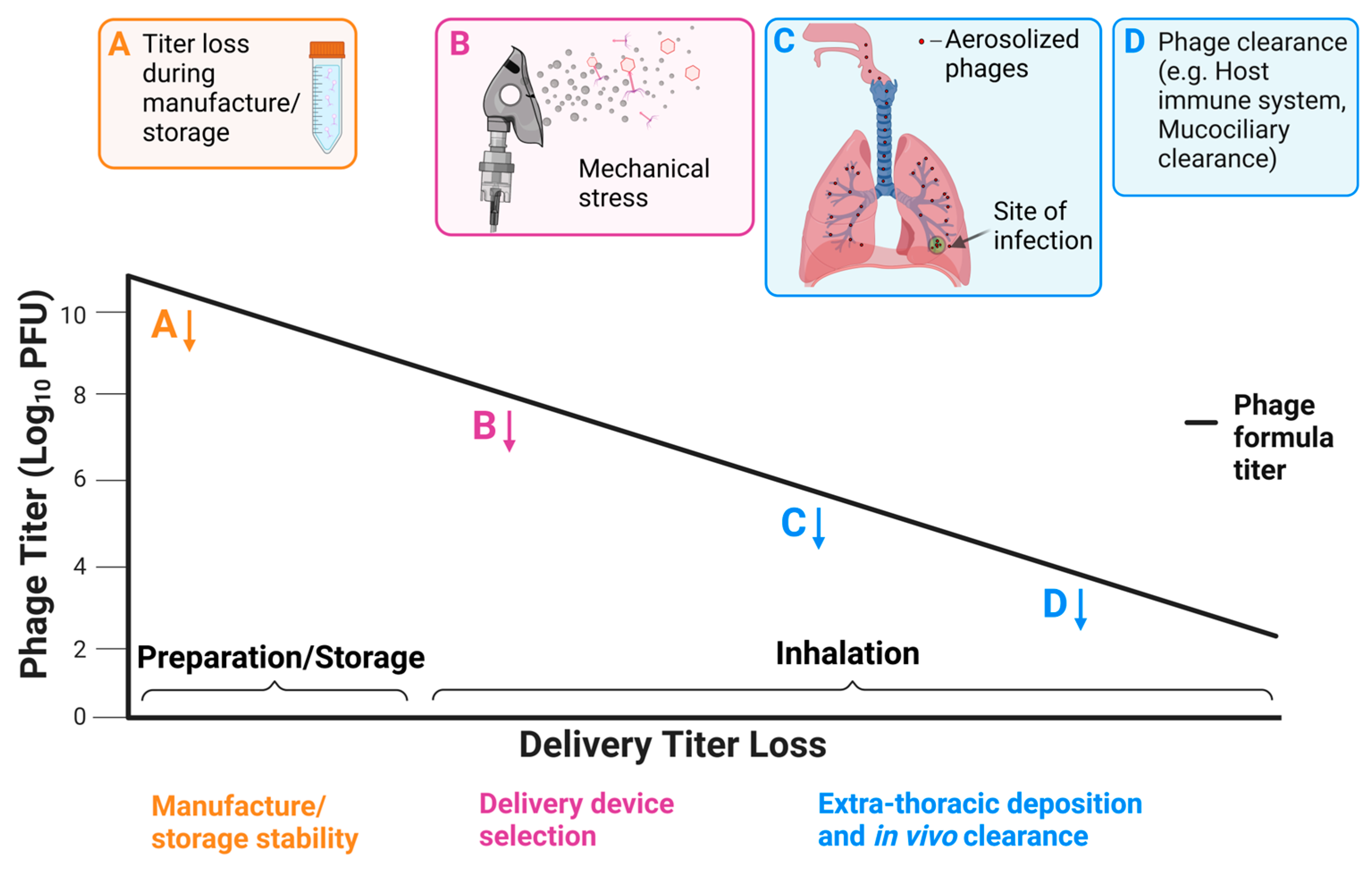 Cells 12 02057 g002 Cells 12 02057 g002