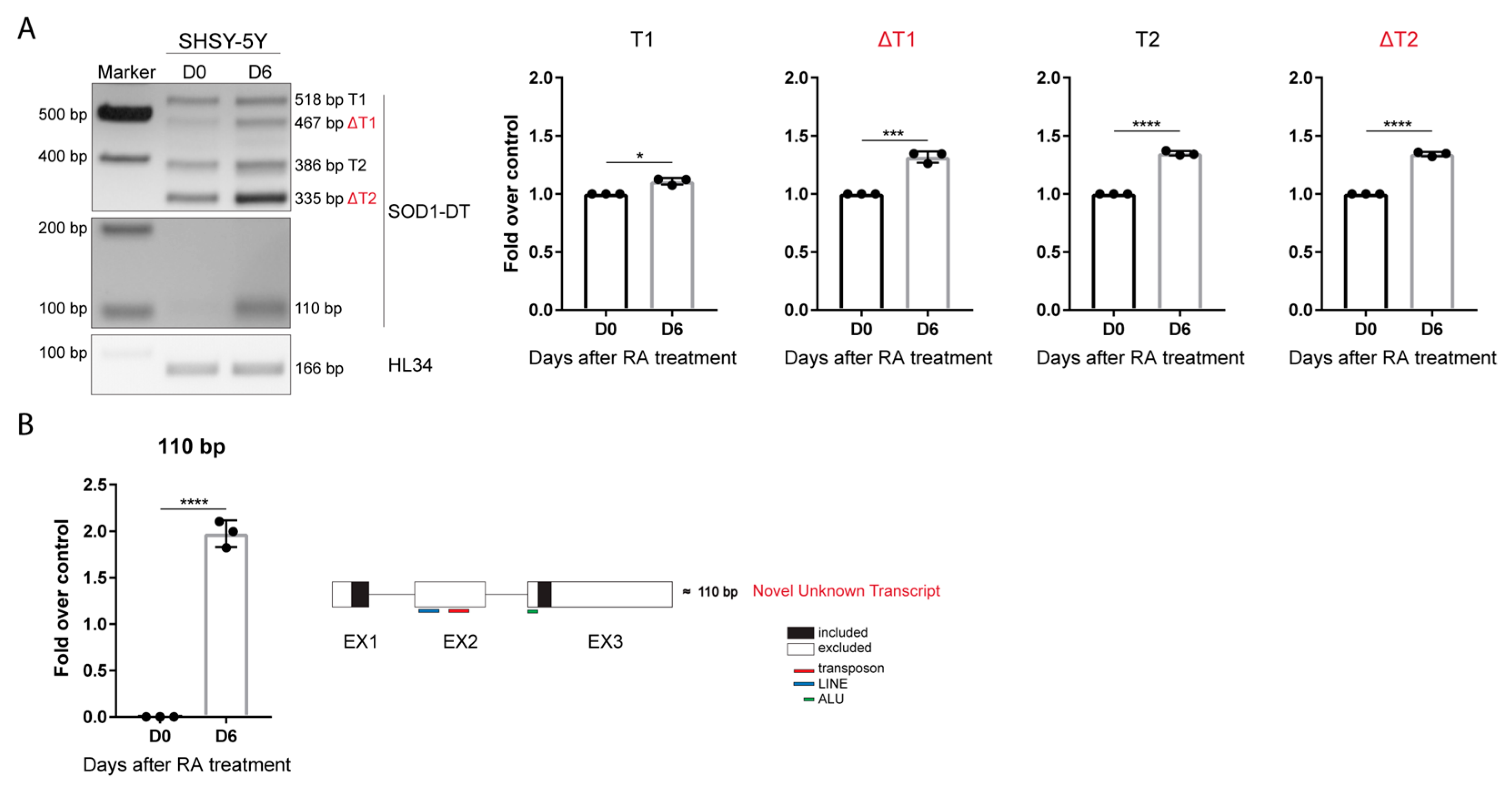 Cells 12 02058 g003 Cells 12 02058 g003