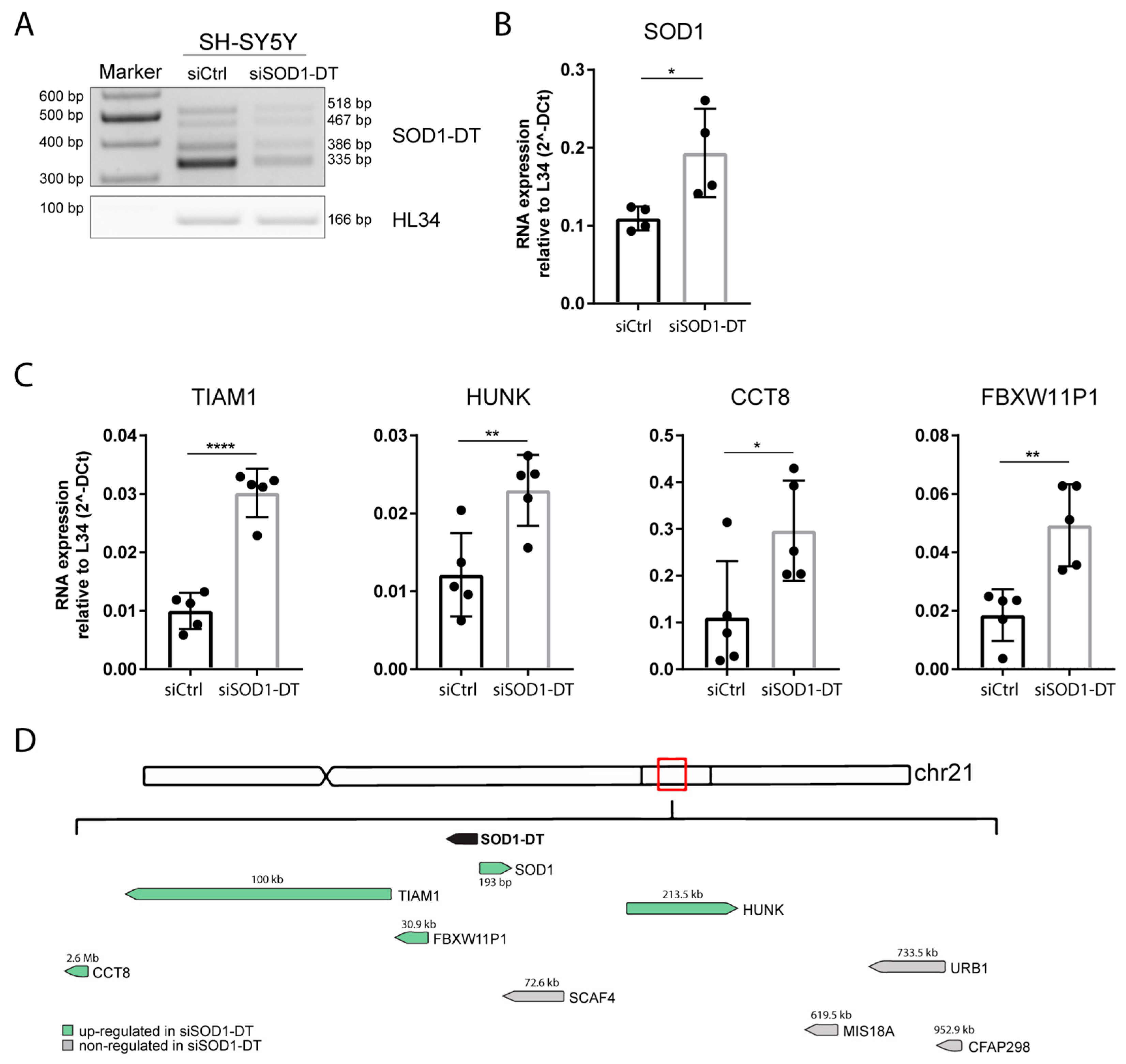 Cells 12 02058 g005 Cells 12 02058 g005