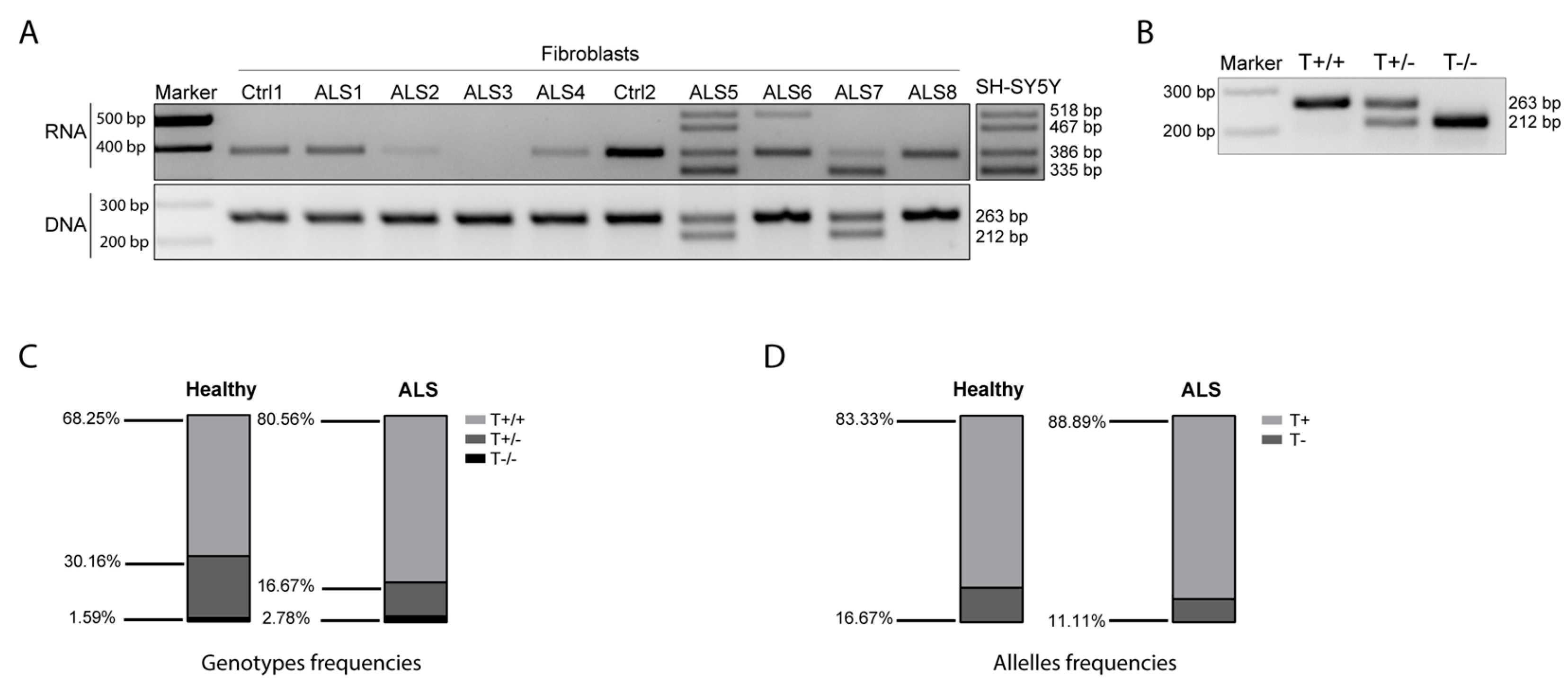 Cells 12 02058 g006 Cells 12 02058 g006