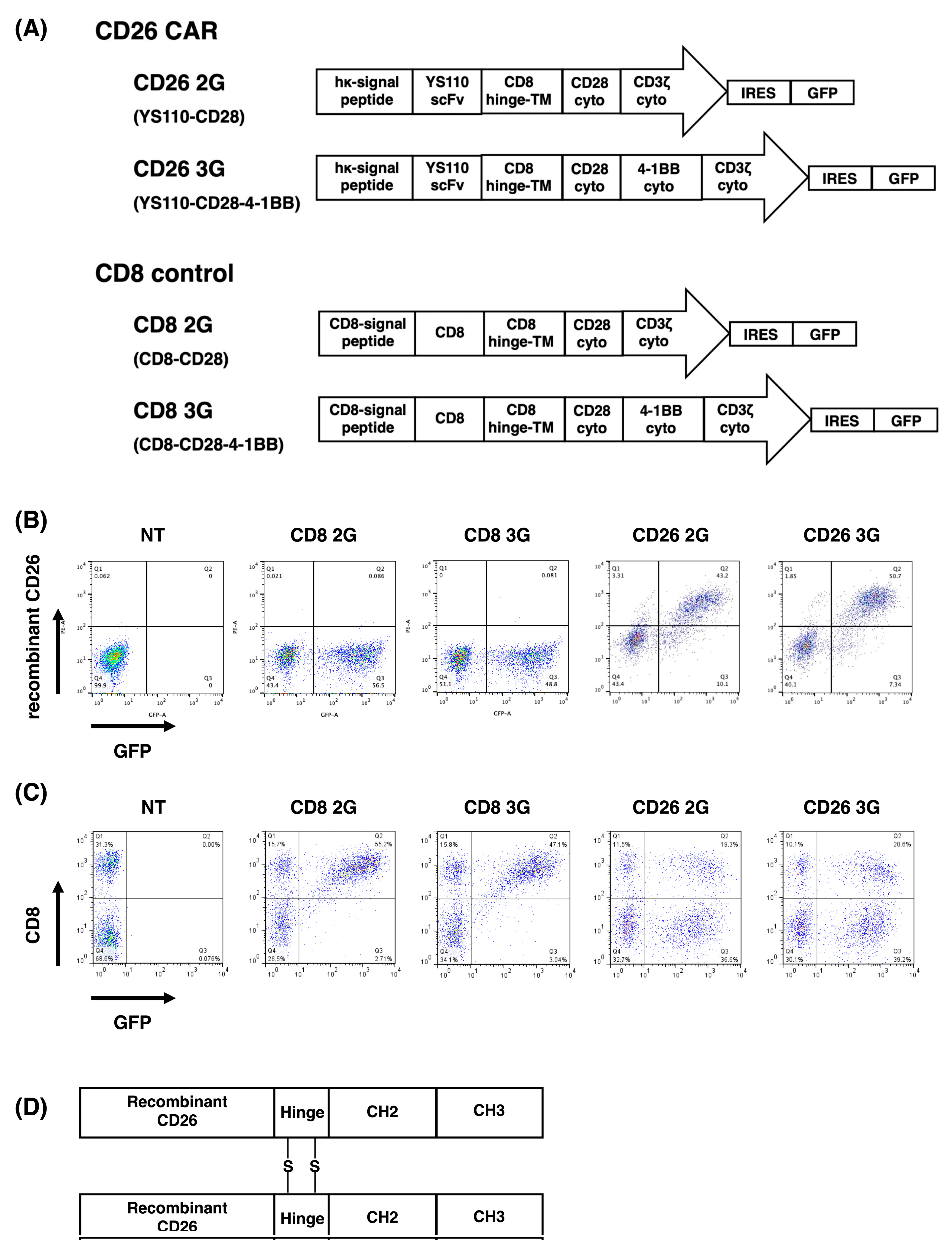 Cells 12 02059 g001 Cells 12 02059 g001