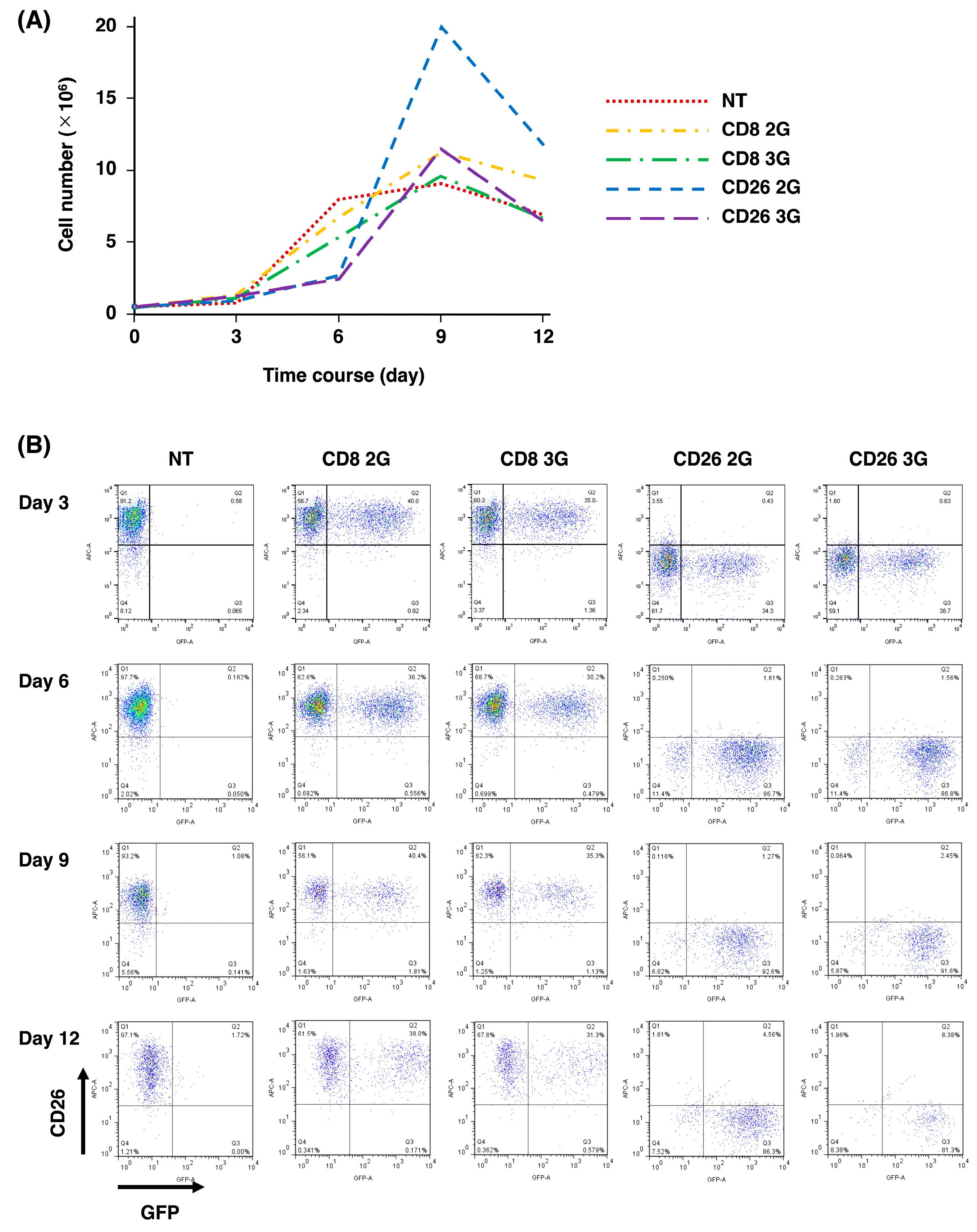 Cells 12 02059 g002 Cells 12 02059 g002