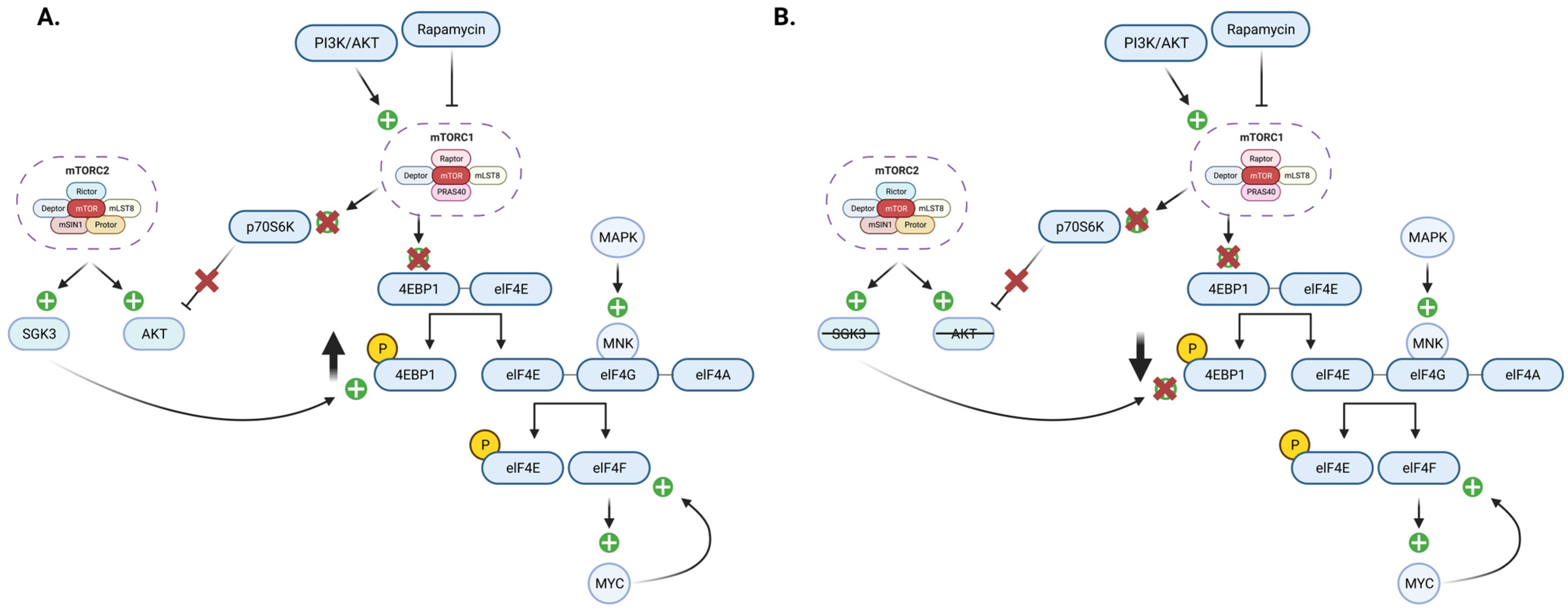 Cells 12 02061 g002 Cells 12 02061 g002