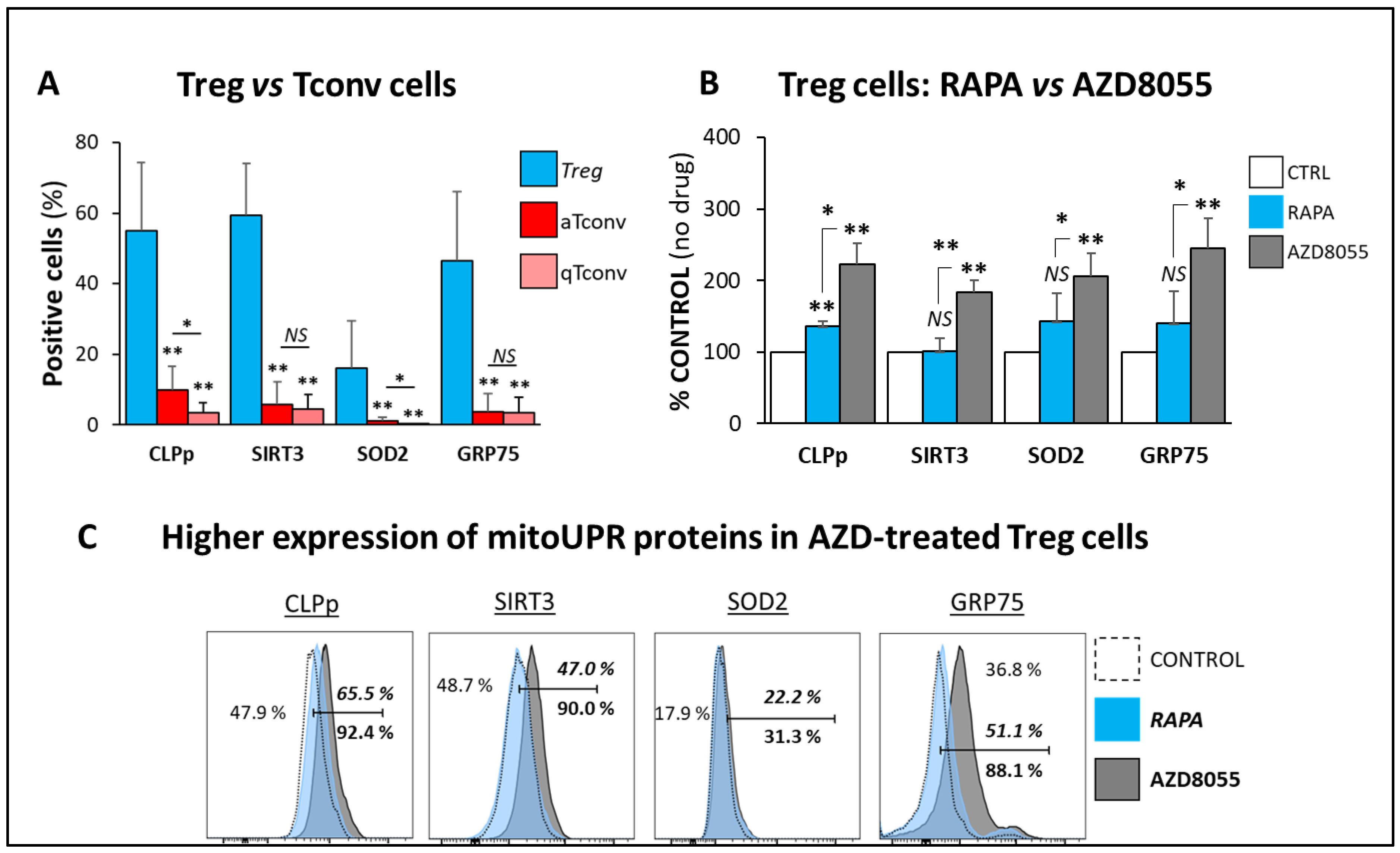 Cells 12 02066 g007 Cells 12 02066 g007