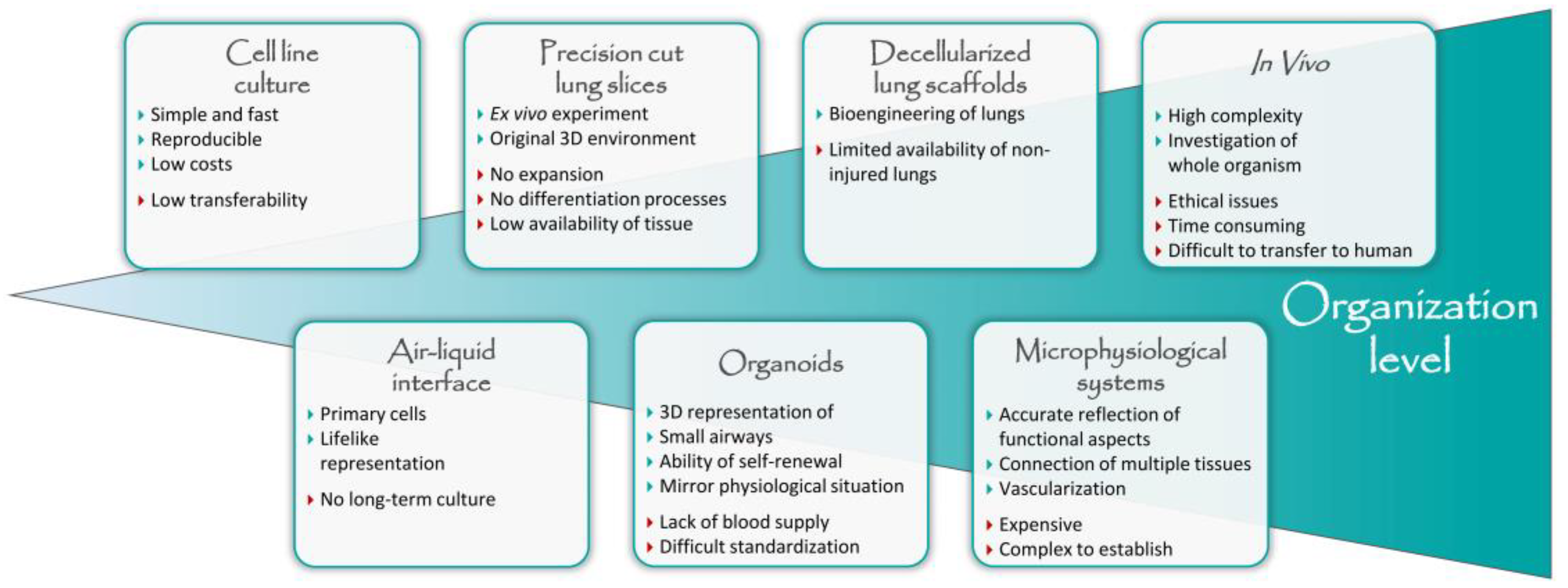 Cells 12 02067 g002 Cells 12 02067 g002