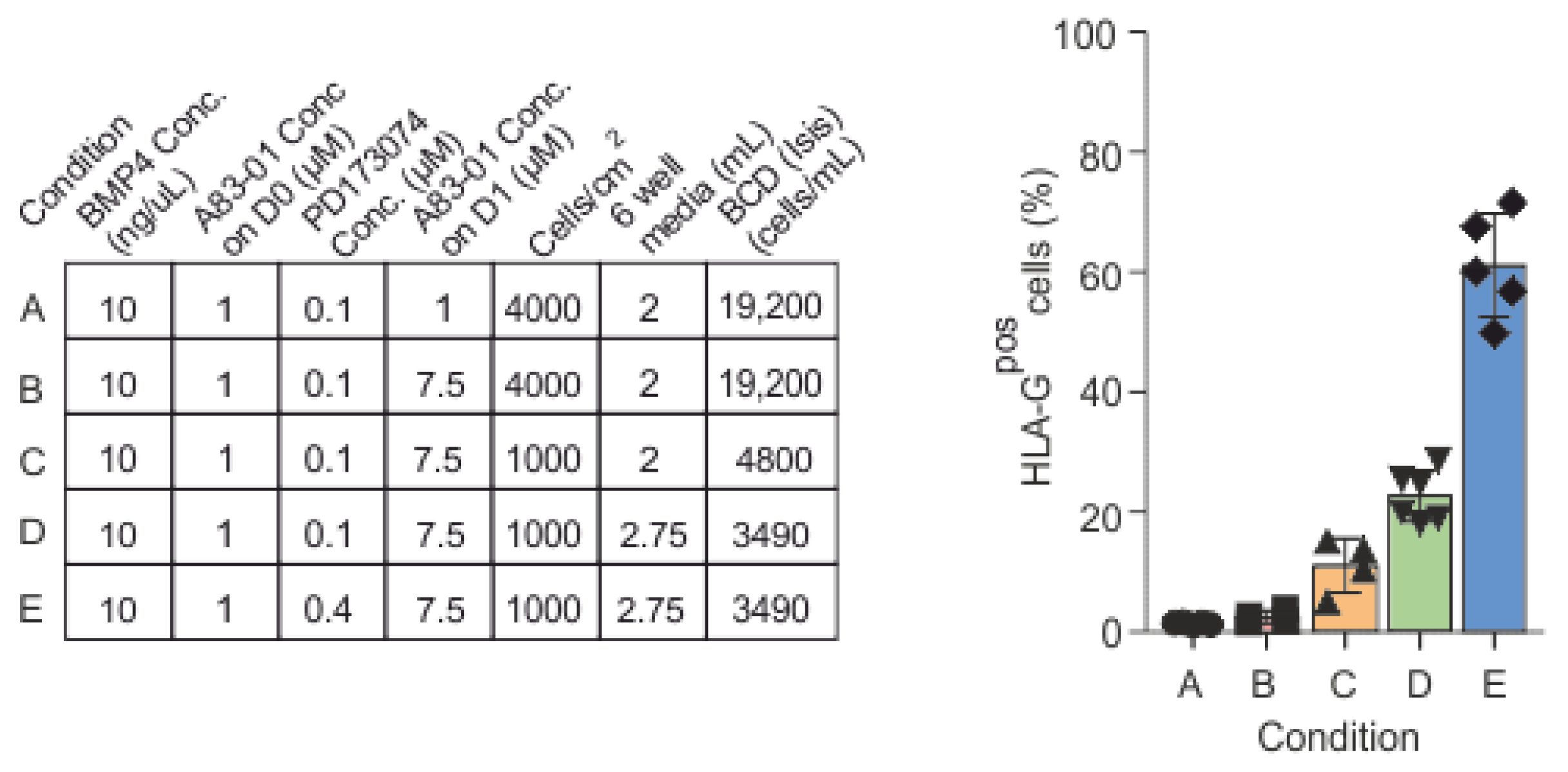 Cells 12 02070 g002 Cells 12 02070 g002