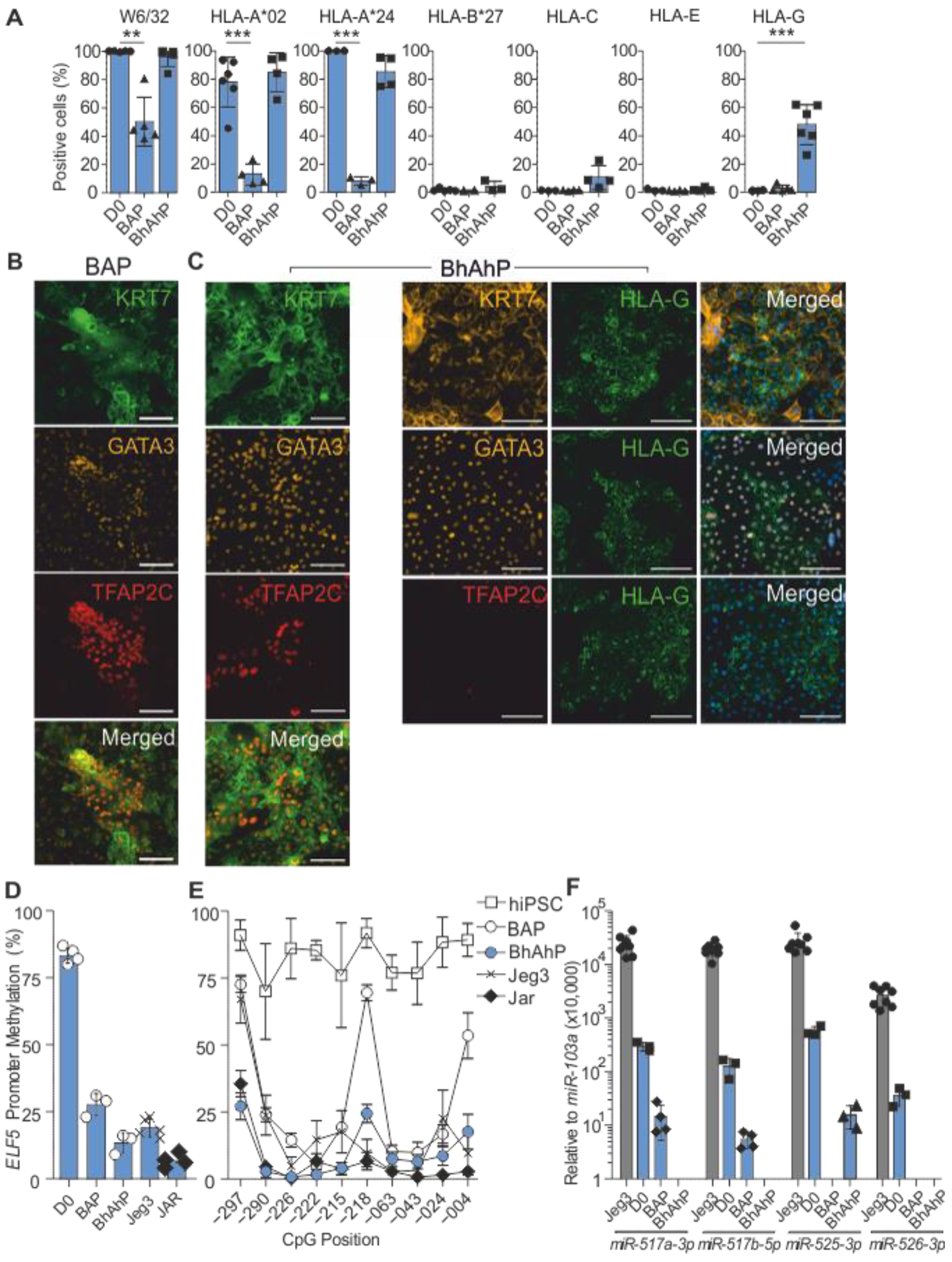 Cells 12 02070 g003 Cells 12 02070 g003