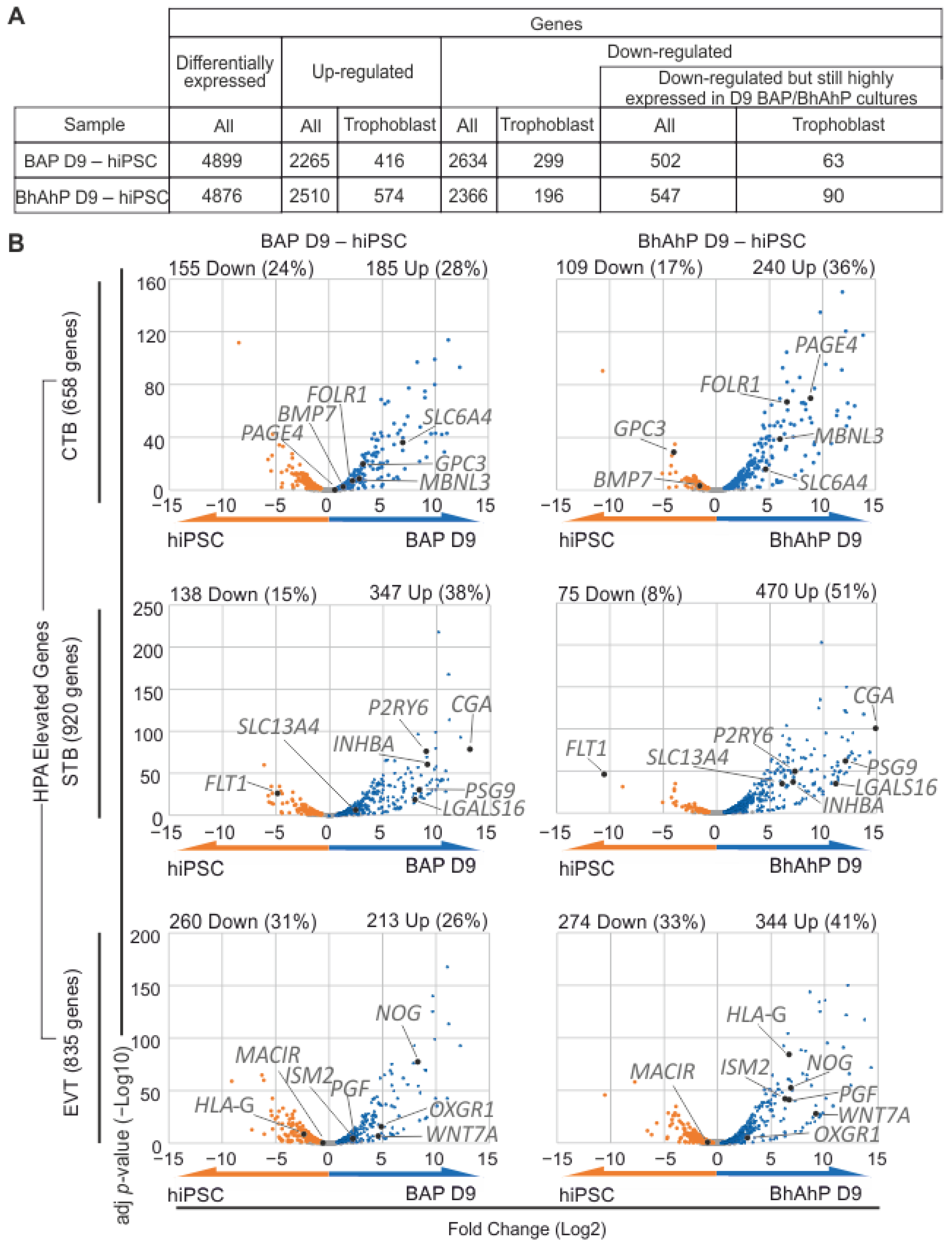 Cells 12 02070 g004 Cells 12 02070 g004