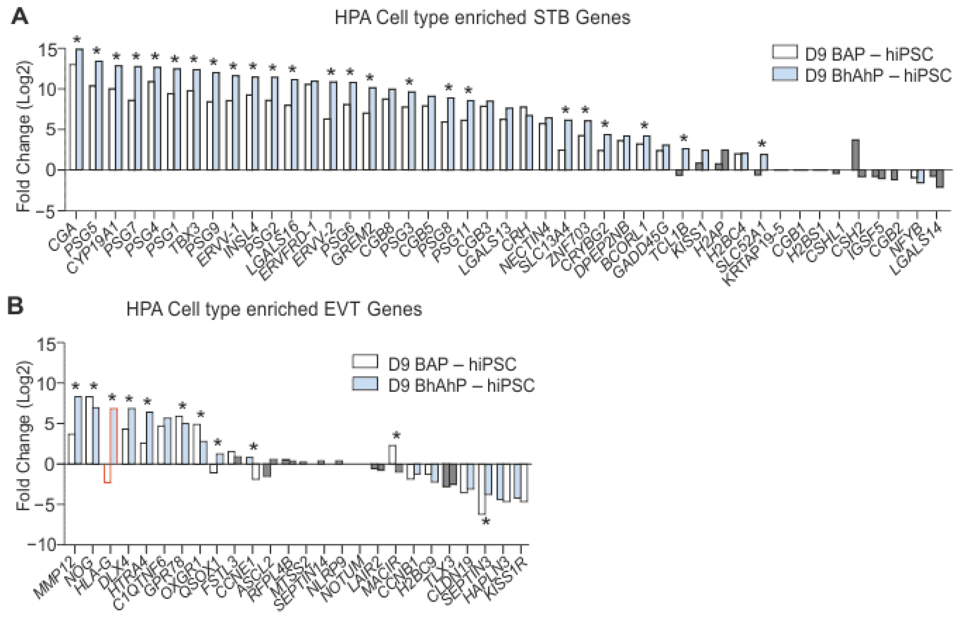 Cells 12 02070 g005 Cells 12 02070 g005