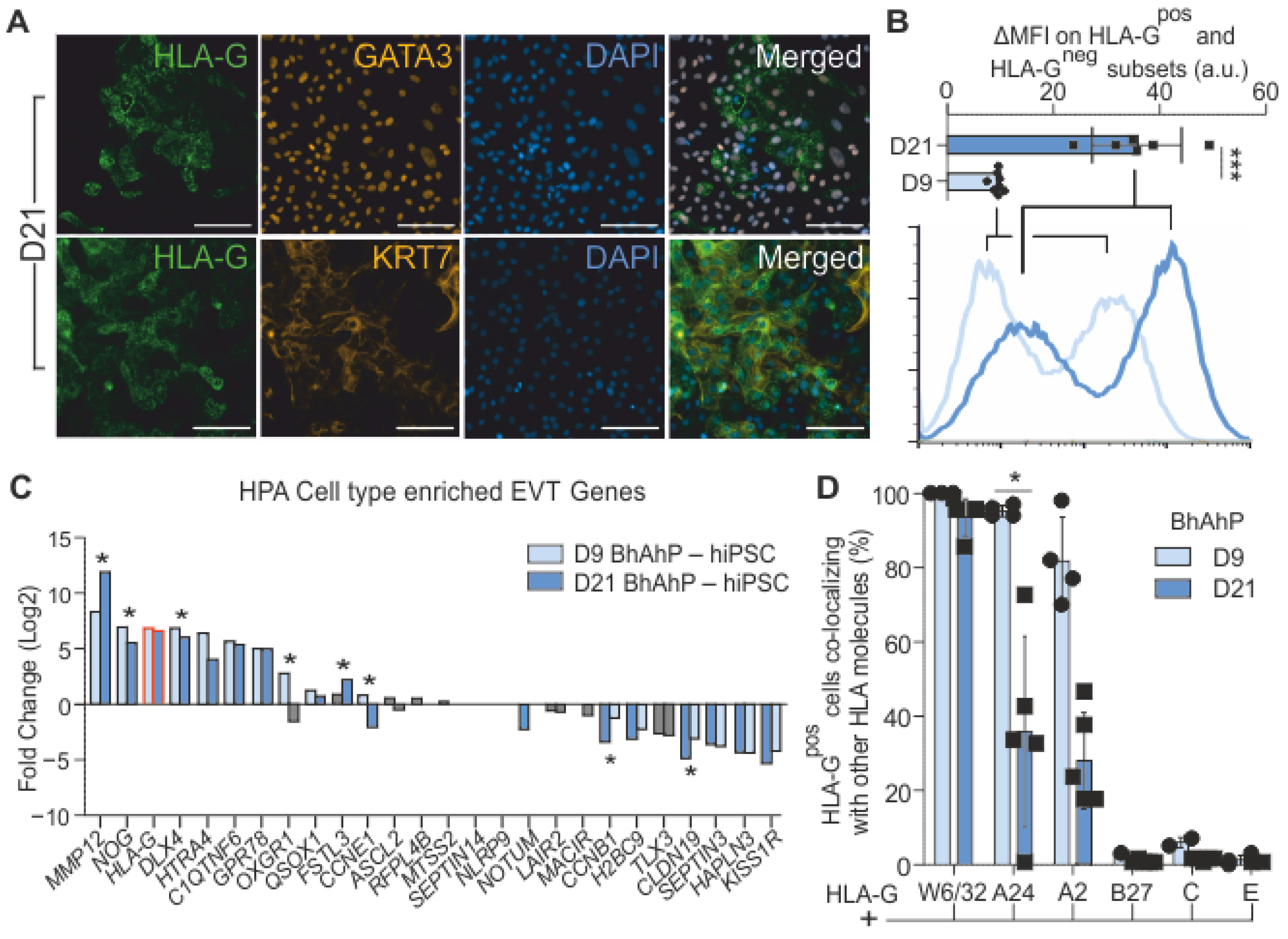 Cells 12 02070 g006 Cells 12 02070 g006